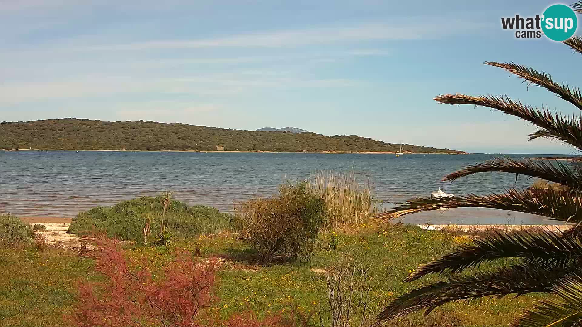 Spletna kamera pristanišče Olbia – vhod v pristanišče Olbia