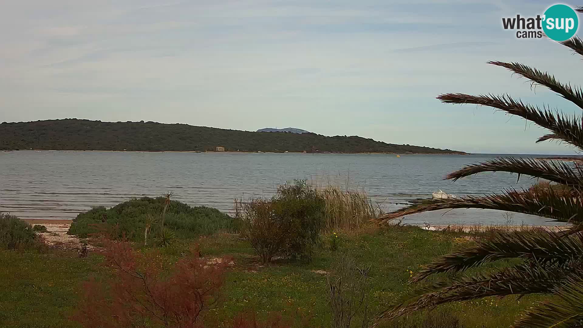 Spletna kamera pristanišče Olbia – vhod v pristanišče Olbia