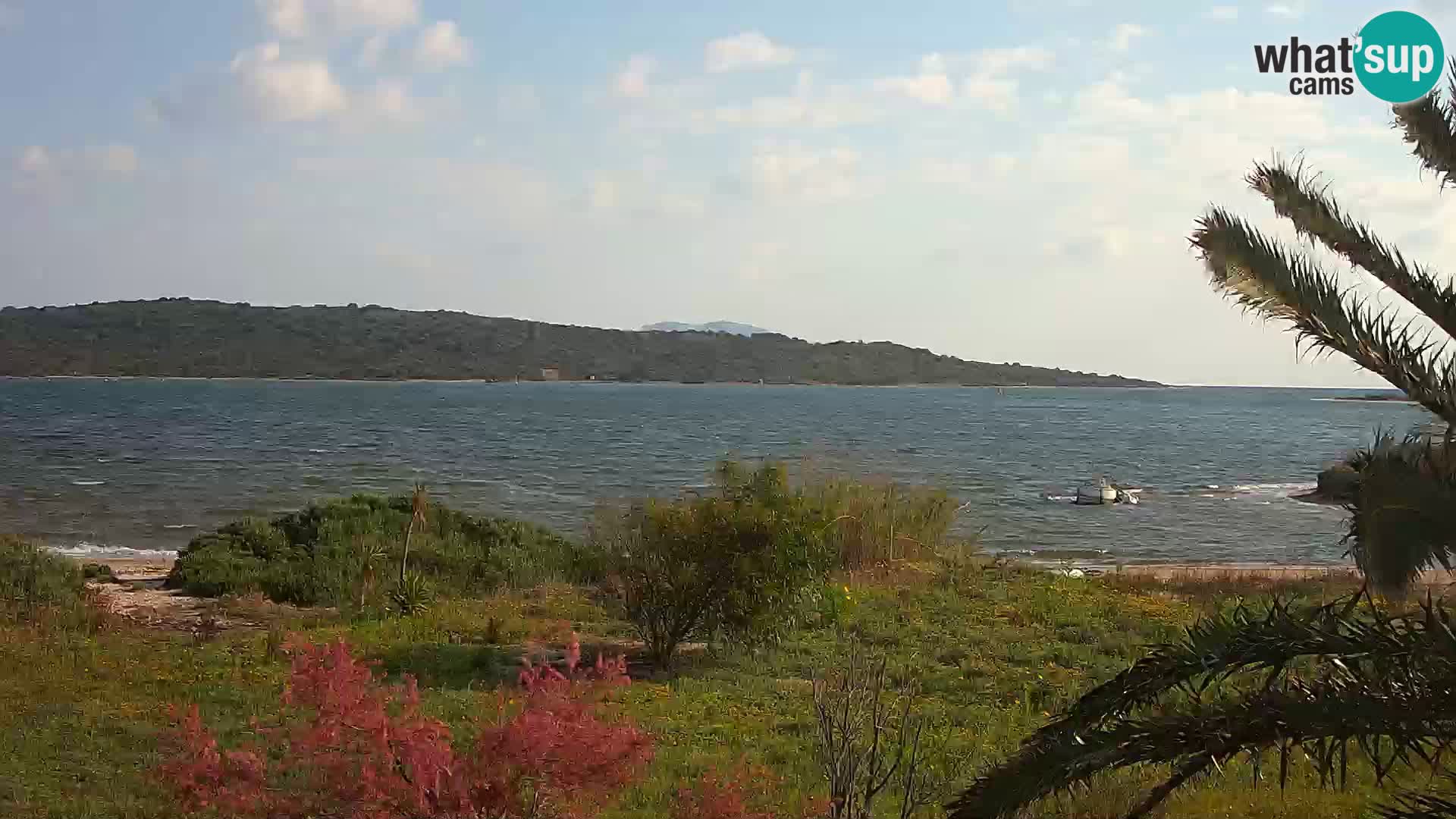 Webcam Olbia port – entrance to the port of Olbia