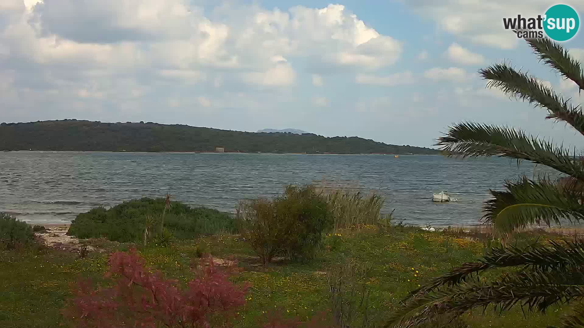 Spletna kamera pristanišče Olbia – vhod v pristanišče Olbia