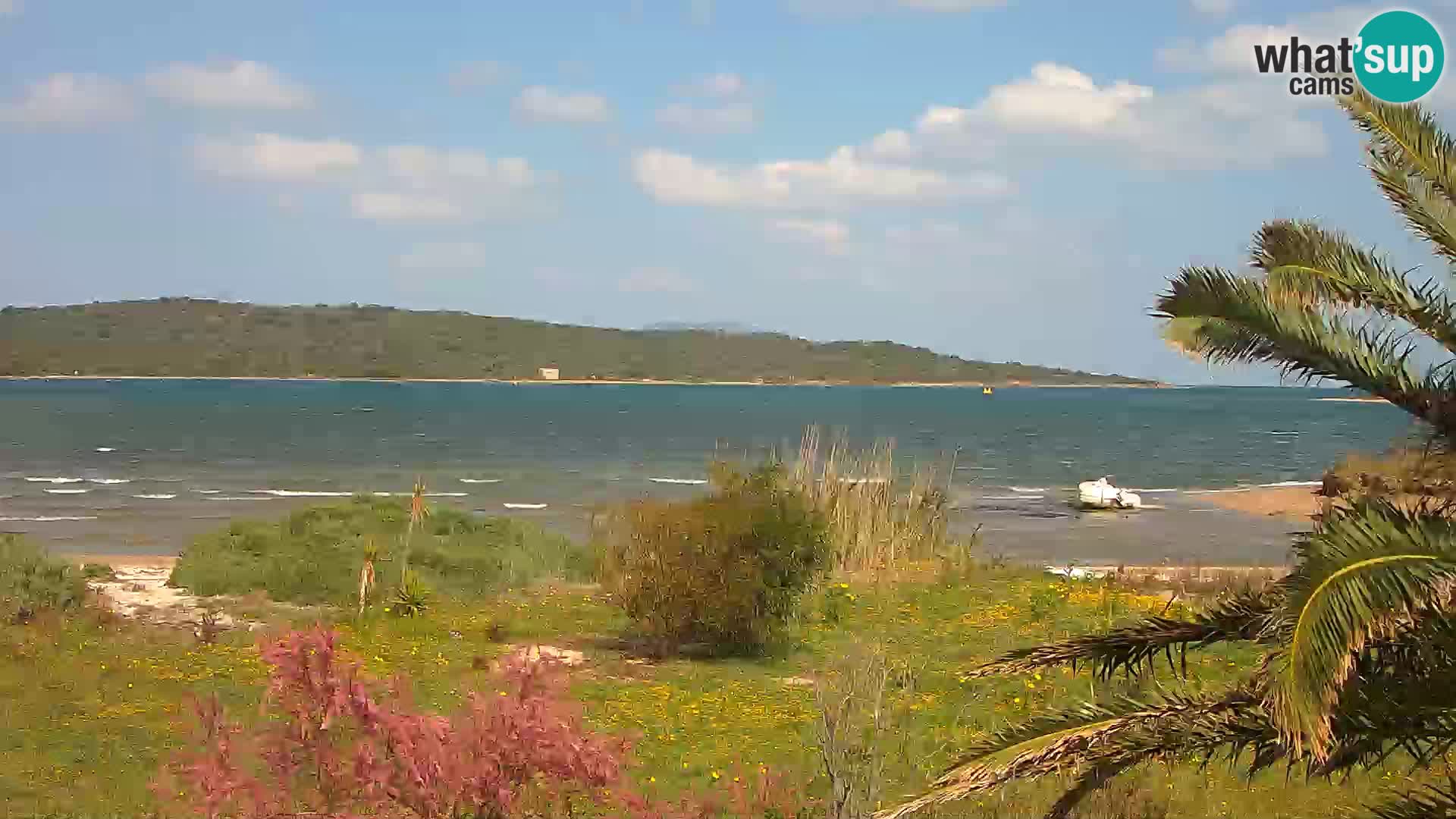 Webcam porto di Olbia – entrata nel porto di Olbia