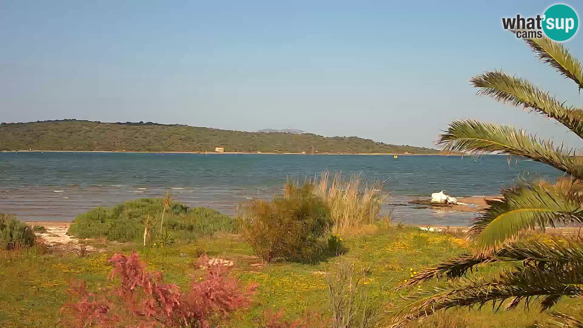 Webcam porto di Olbia – entrata nel porto di Olbia