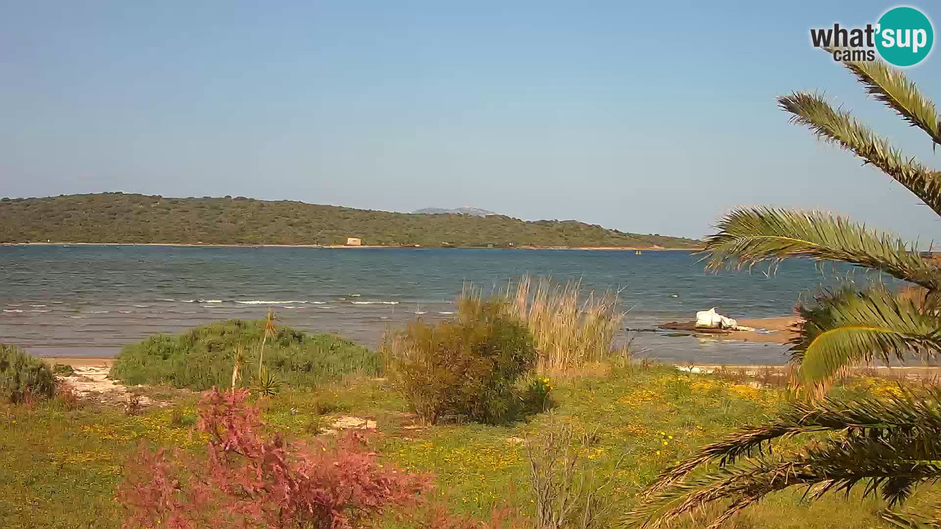 Webcam Hafen Olbia – Eingang zum Hafen von Olbia