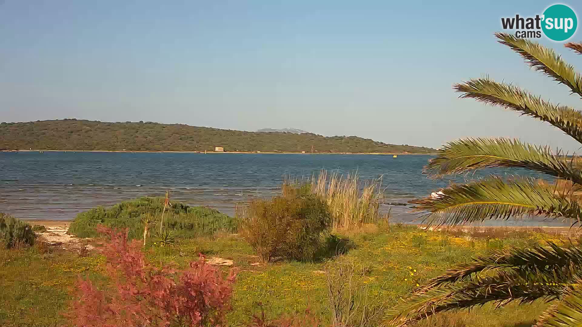 Webcam port d’Olbia – entrée du port d’Olbia