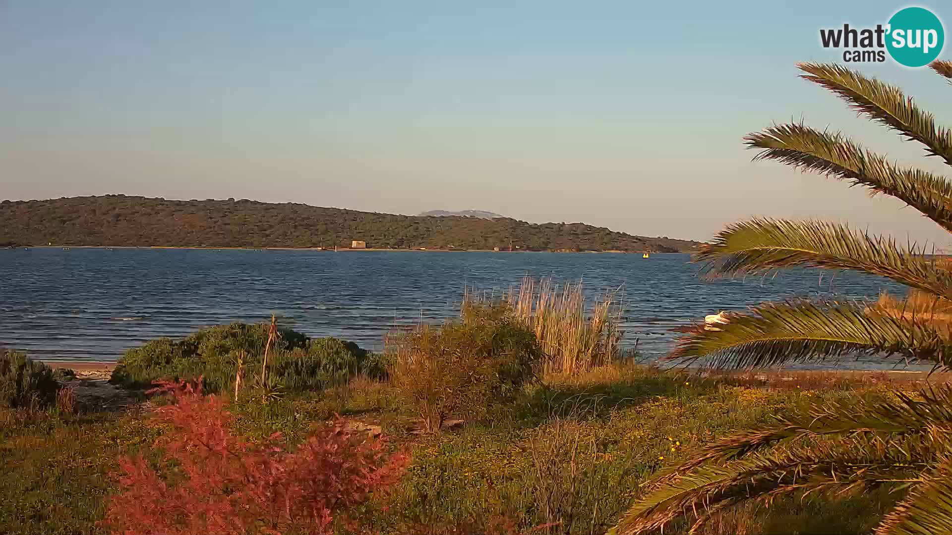 Web kamera Olbia luka – ulaz u luku Olbia