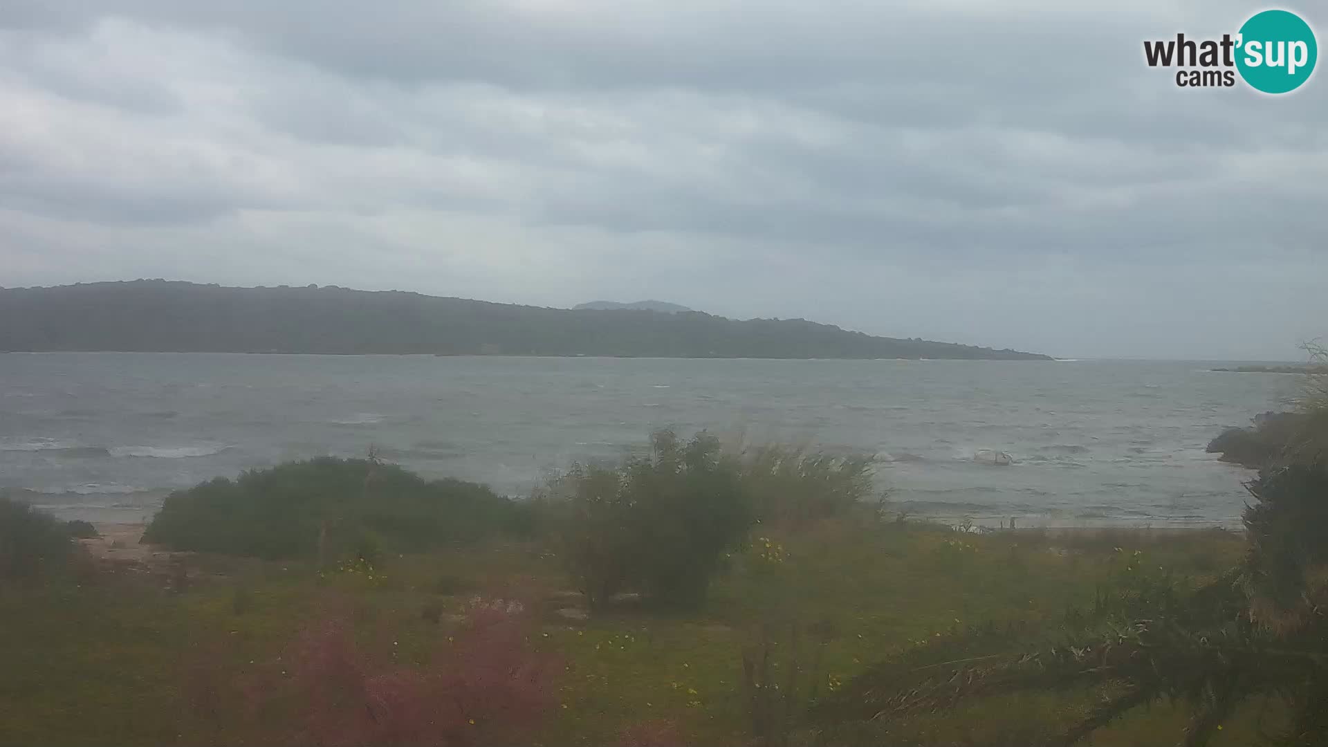 Web kamera Olbia luka – ulaz u luku Olbia