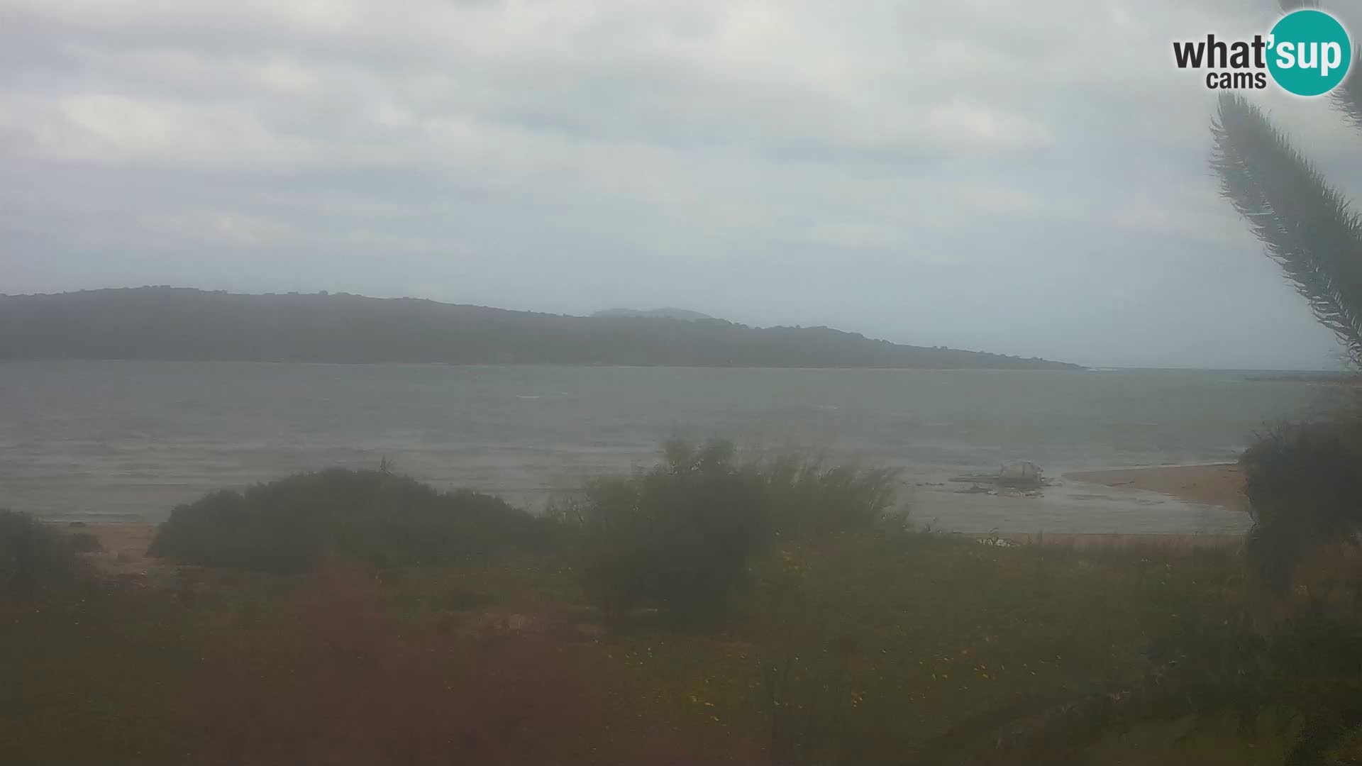 Camera web puerto de Olbia – entrada al puerto de Olbia