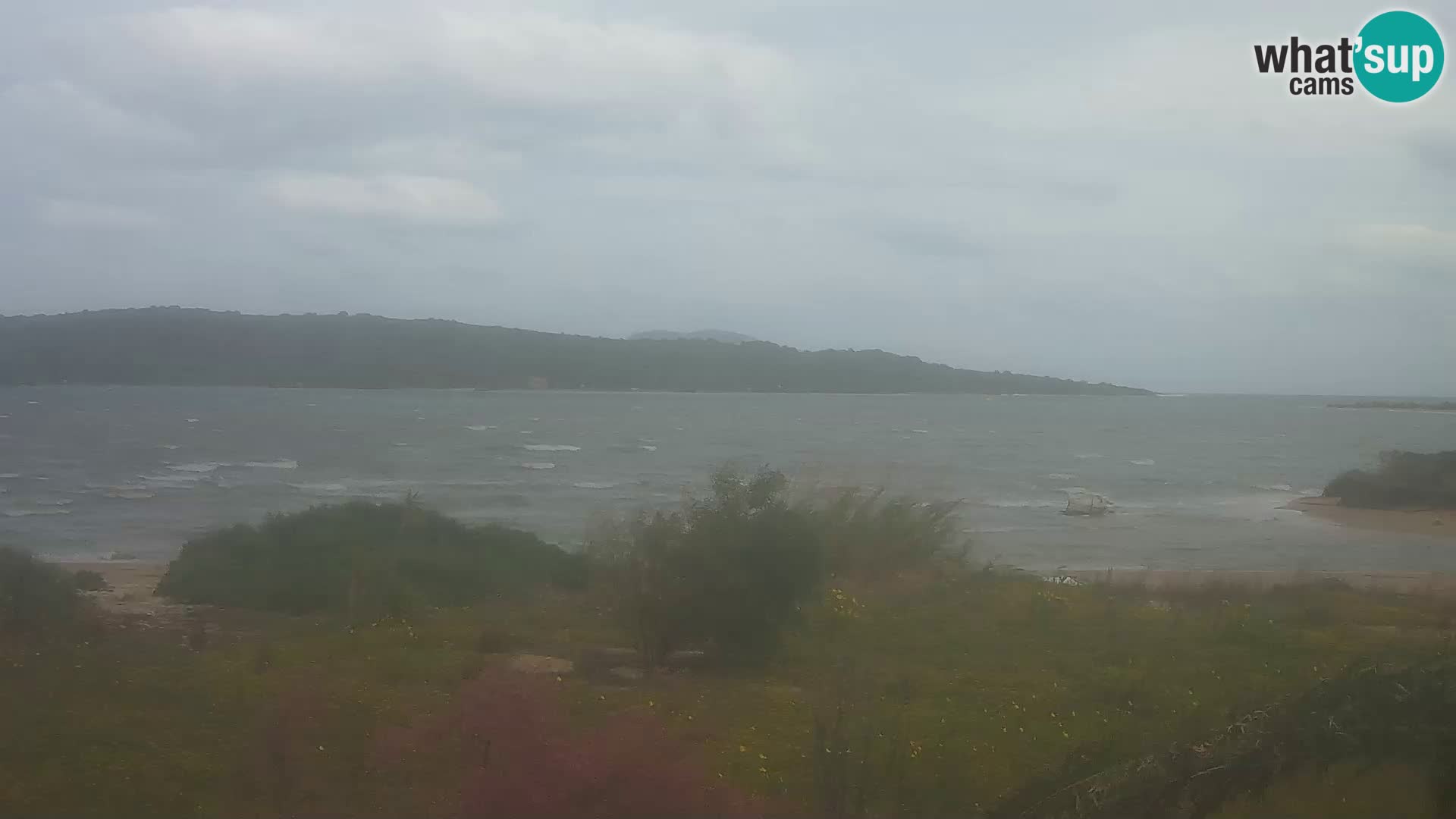 Web kamera Olbia luka – ulaz u luku Olbia