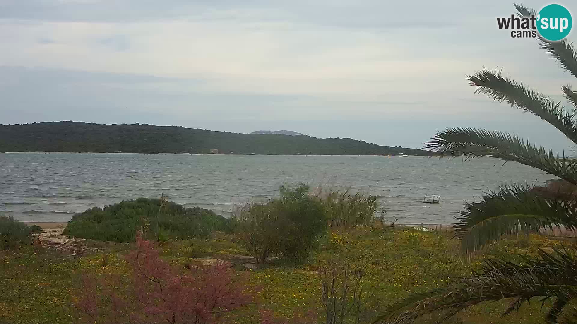 Webcam Olbia port – entrance to the port of Olbia