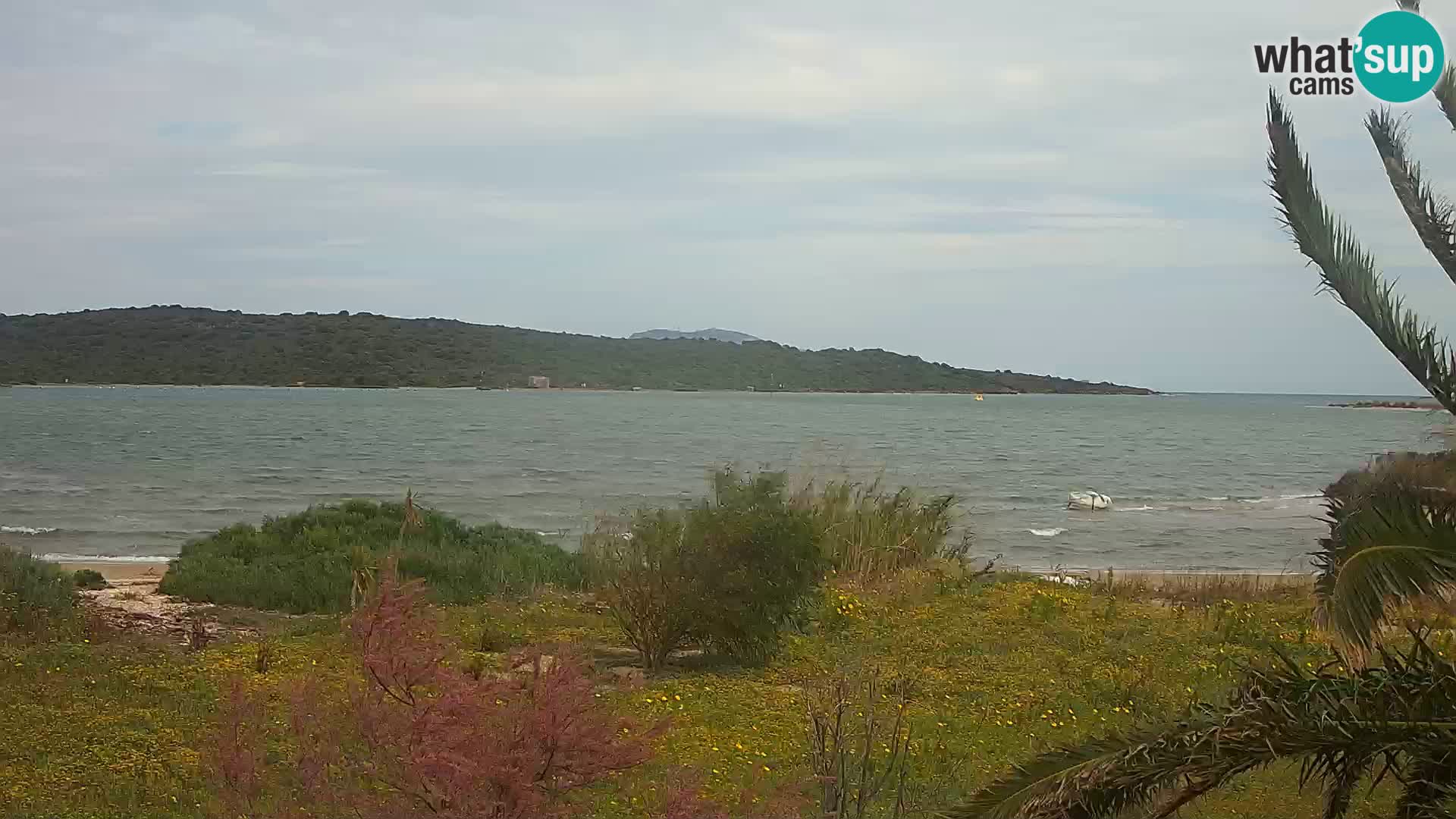 Webcam porto di Olbia – entrata nel porto di Olbia
