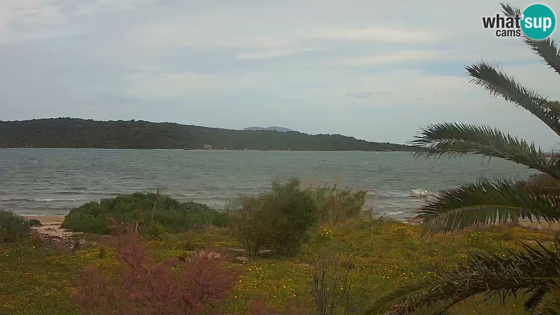 Webcam Olbia port – entrance to the port of Olbia