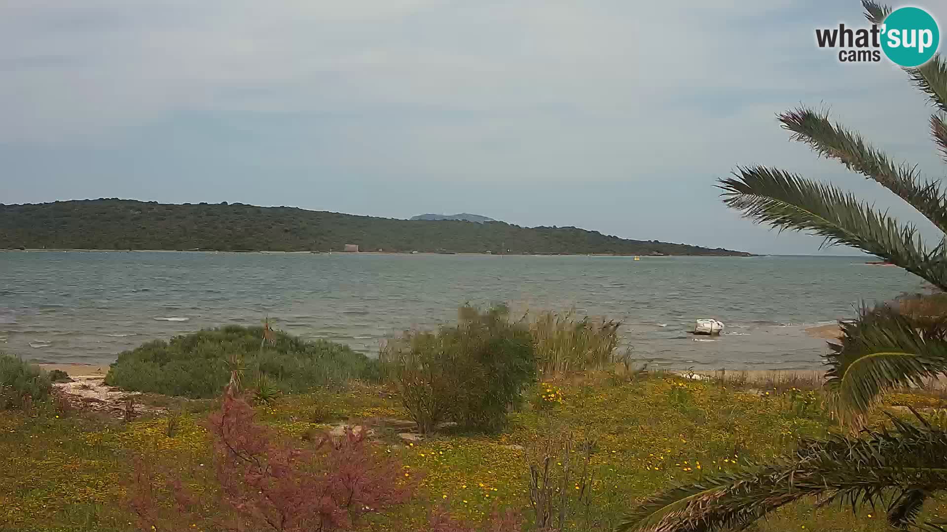 Webcam porto di Olbia – entrata nel porto di Olbia