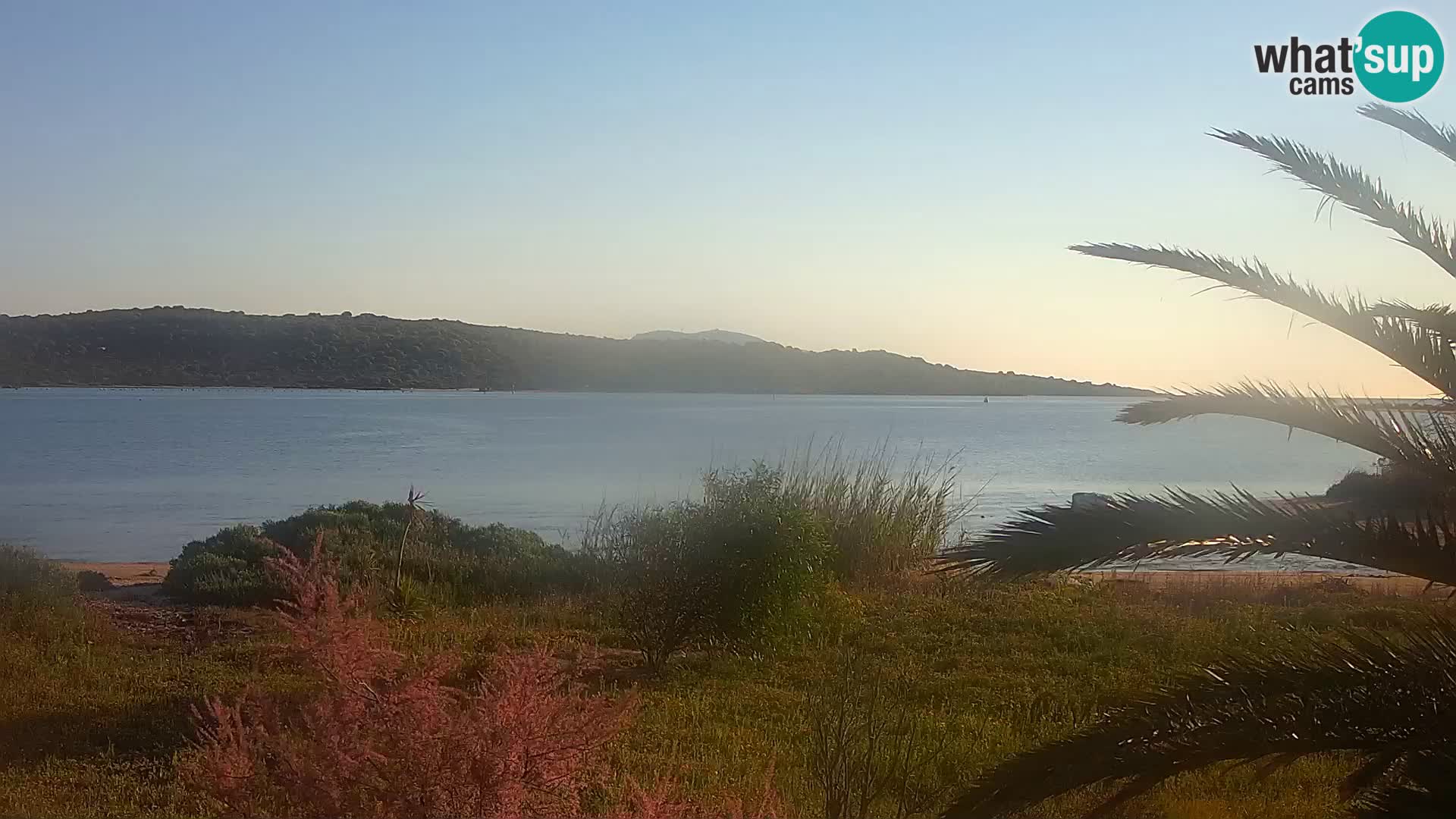 Webcam Olbia port – entrance to the port of Olbia