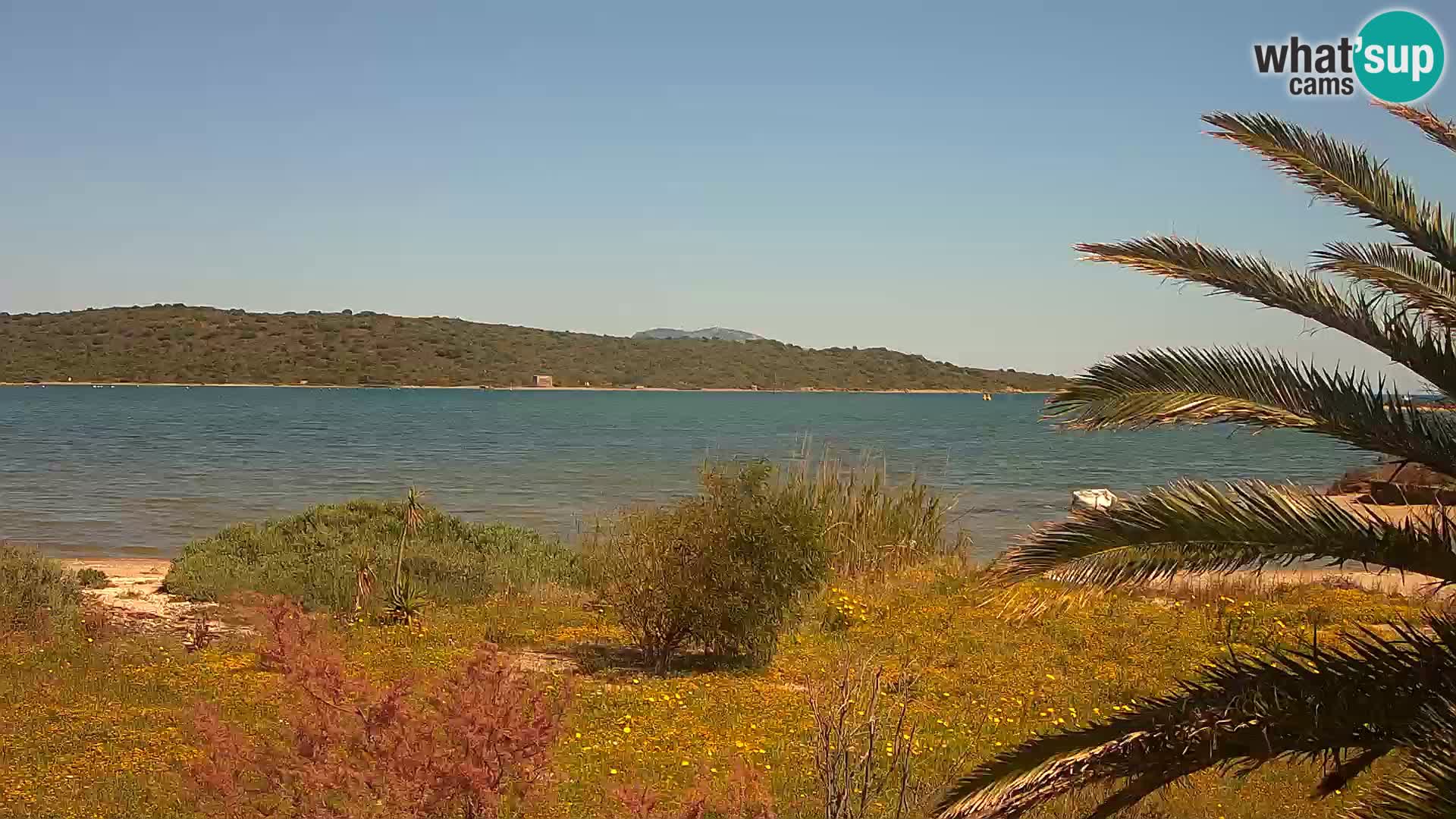Webcam porto di Olbia – entrata nel porto di Olbia