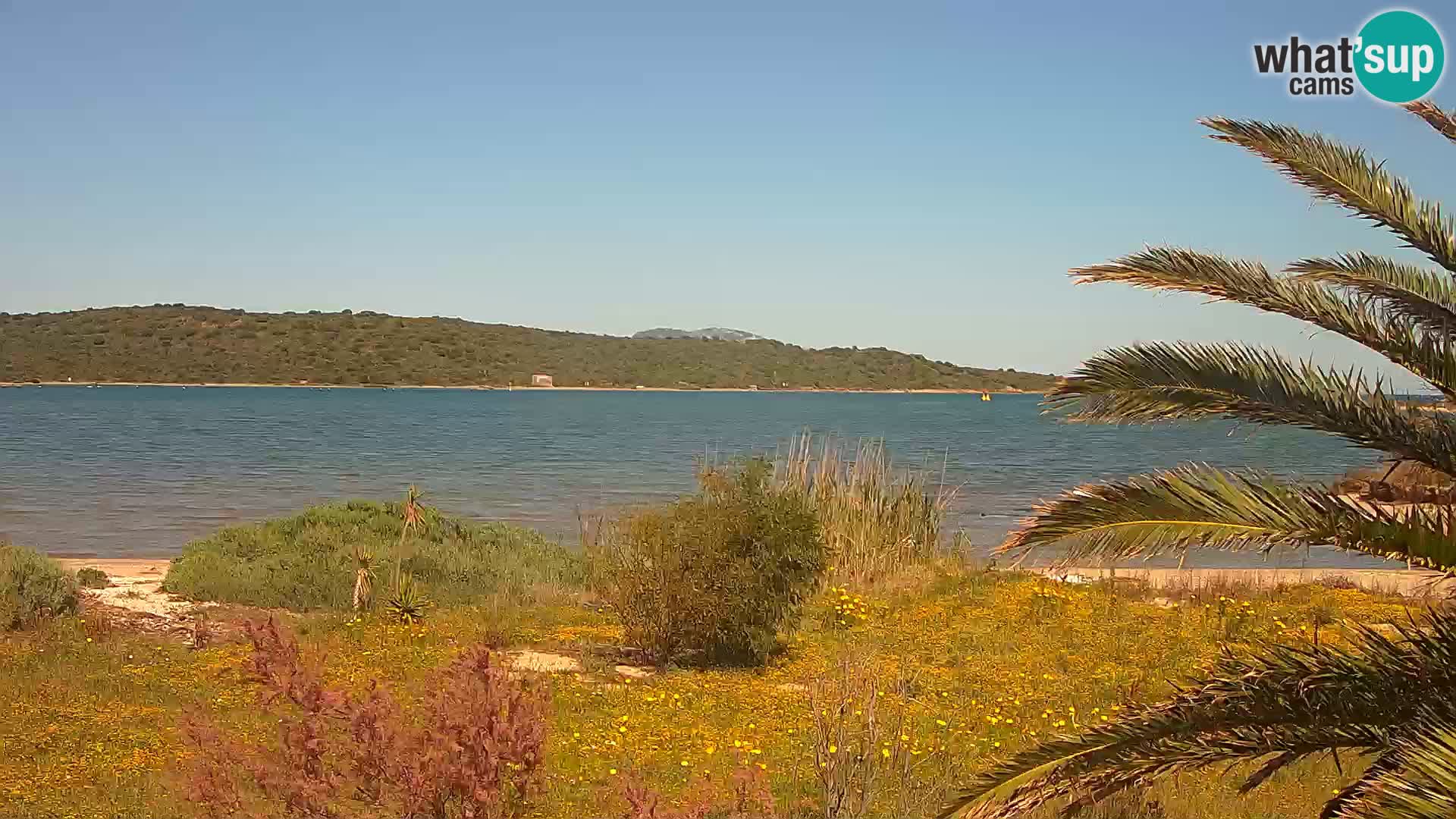 Web kamera Olbia luka – ulaz u luku Olbia