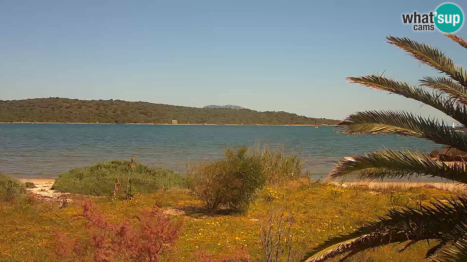 Camera web puerto de Olbia – entrada al puerto de Olbia