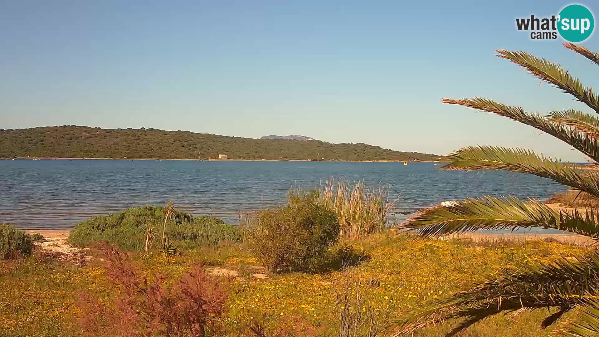 Webcam Hafen Olbia – Eingang zum Hafen von Olbia