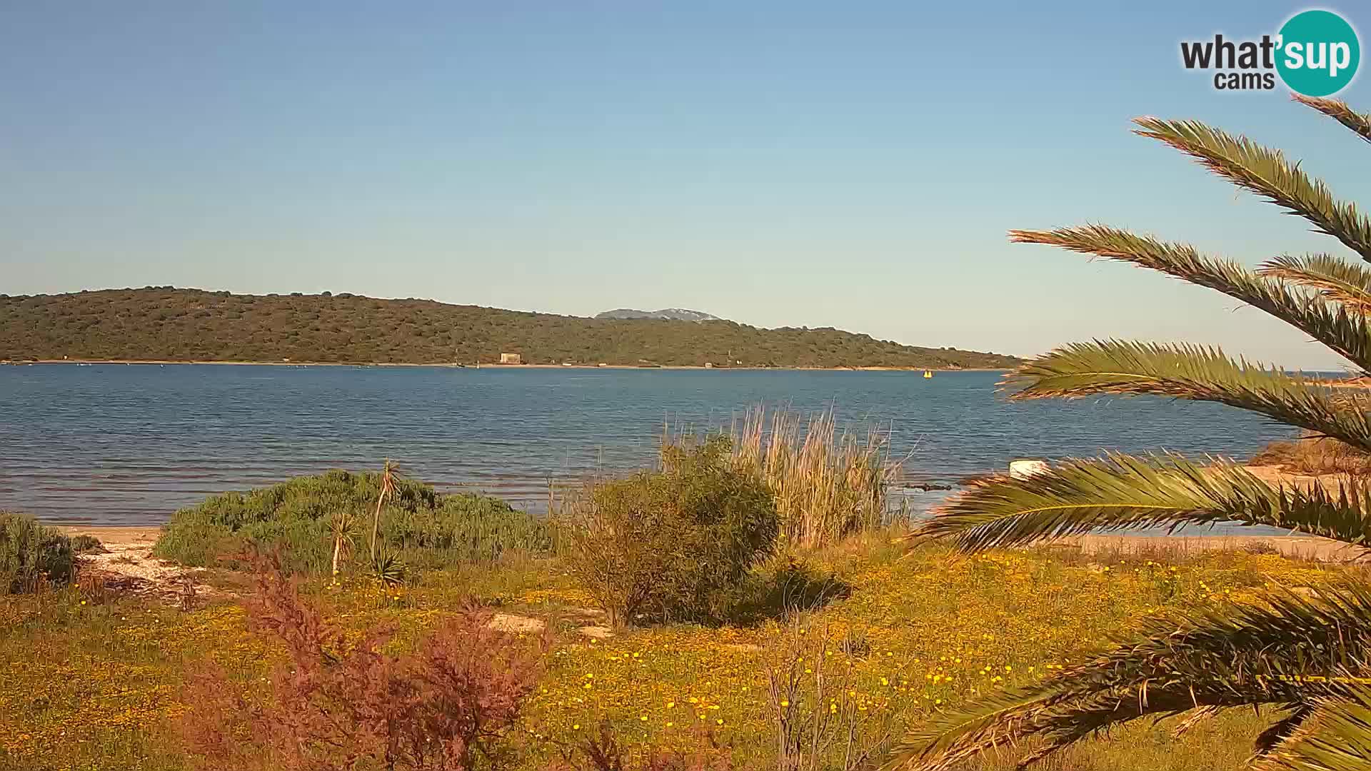 Webcam port d’Olbia – entrée du port d’Olbia