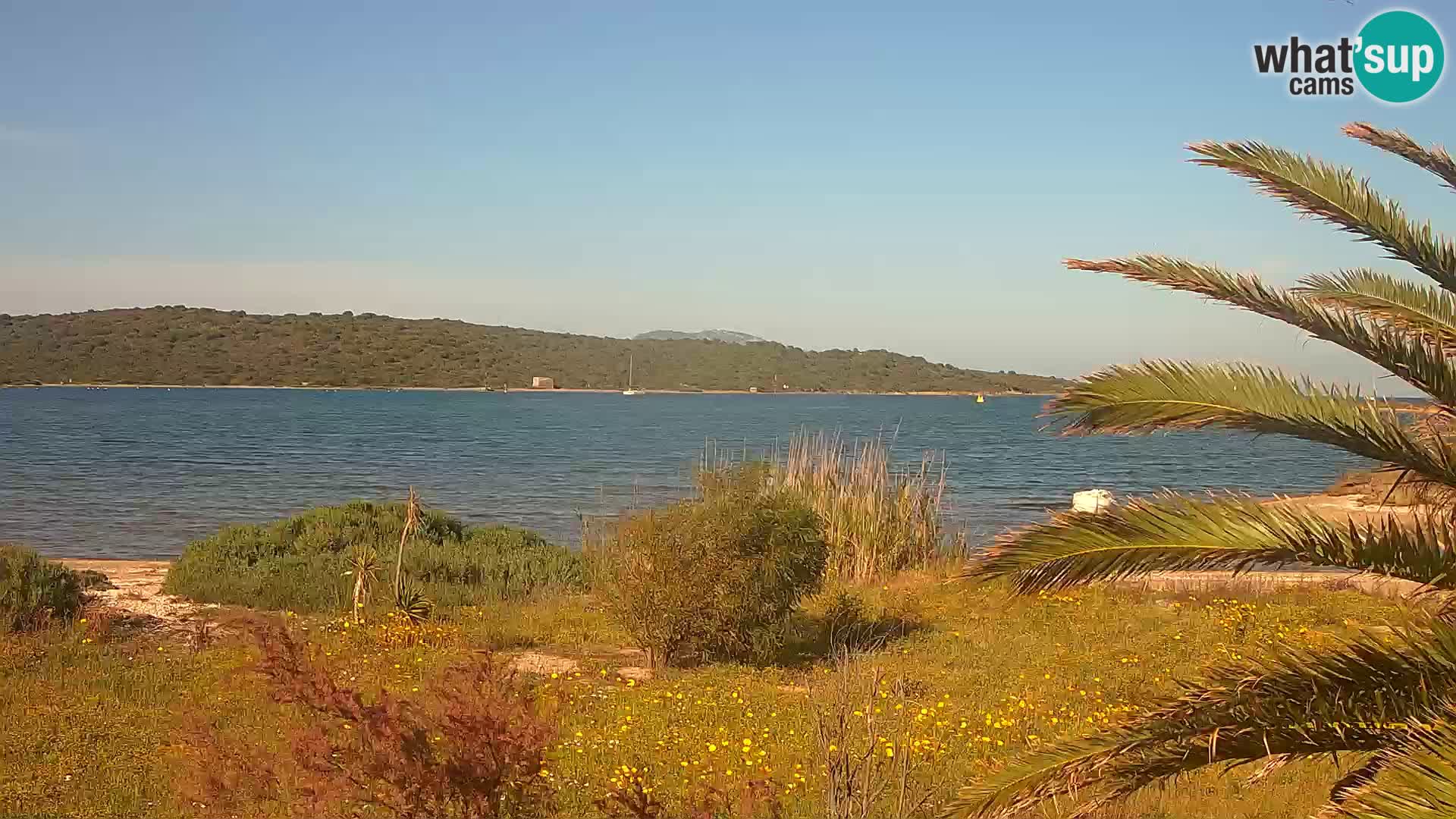Webcam Olbia port – entrance to the port of Olbia