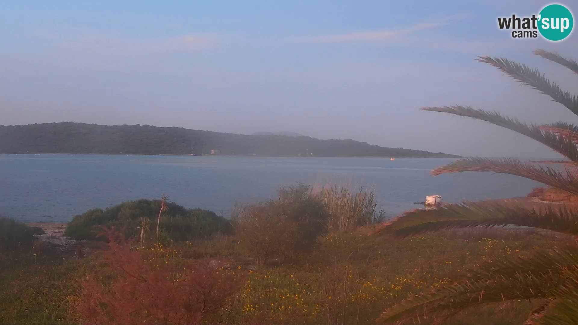 Web kamera Olbia luka – ulaz u luku Olbia