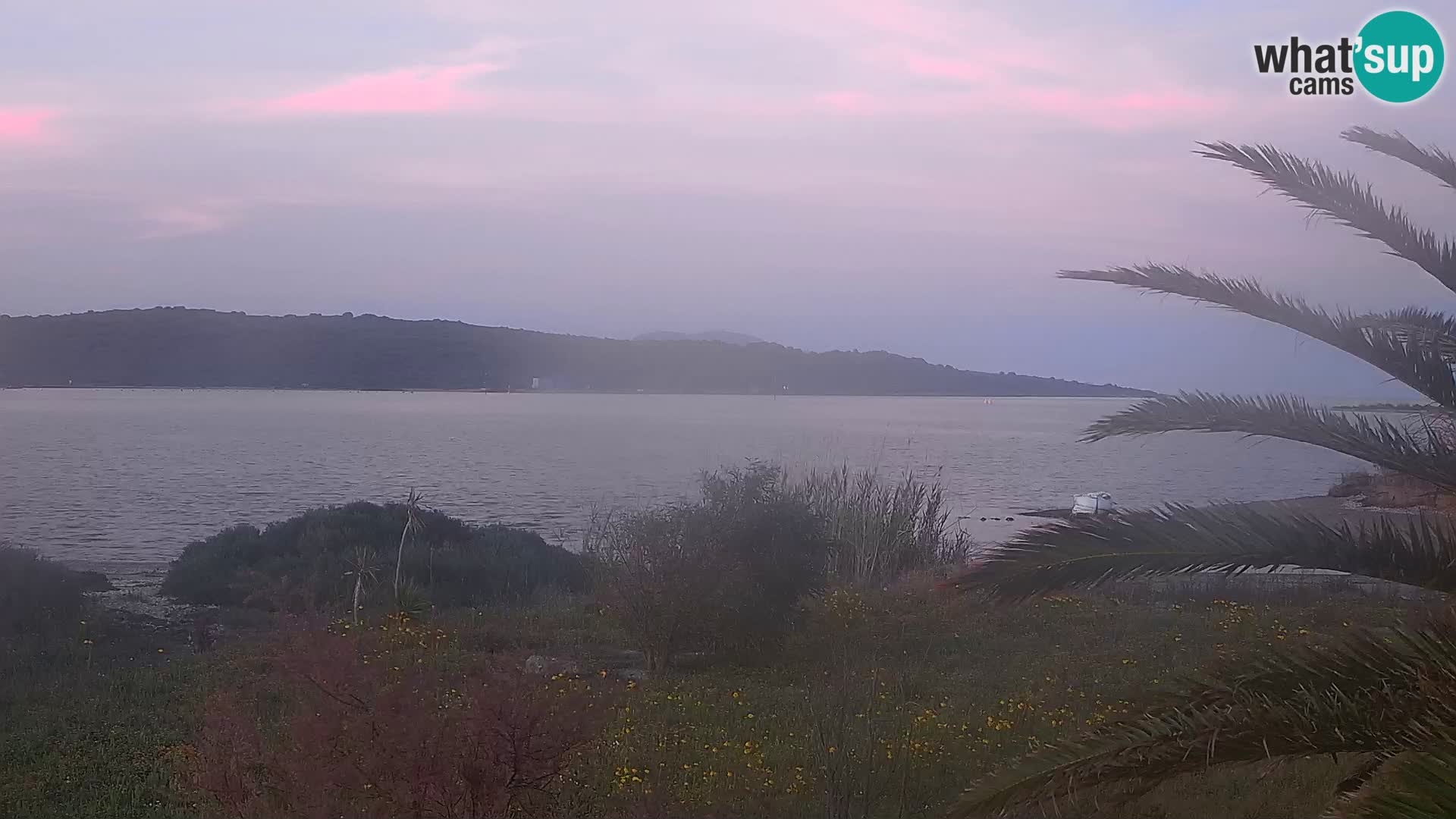 Webcam Hafen Olbia – Eingang zum Hafen von Olbia