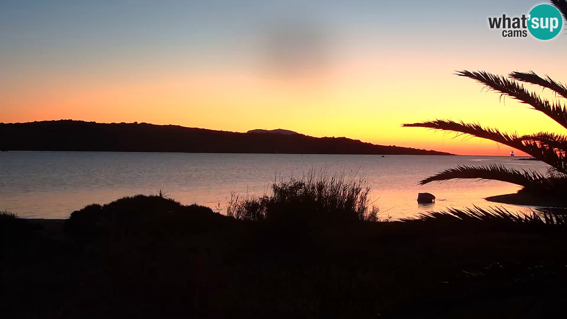 Webcam Olbia port – entrance to the port of Olbia