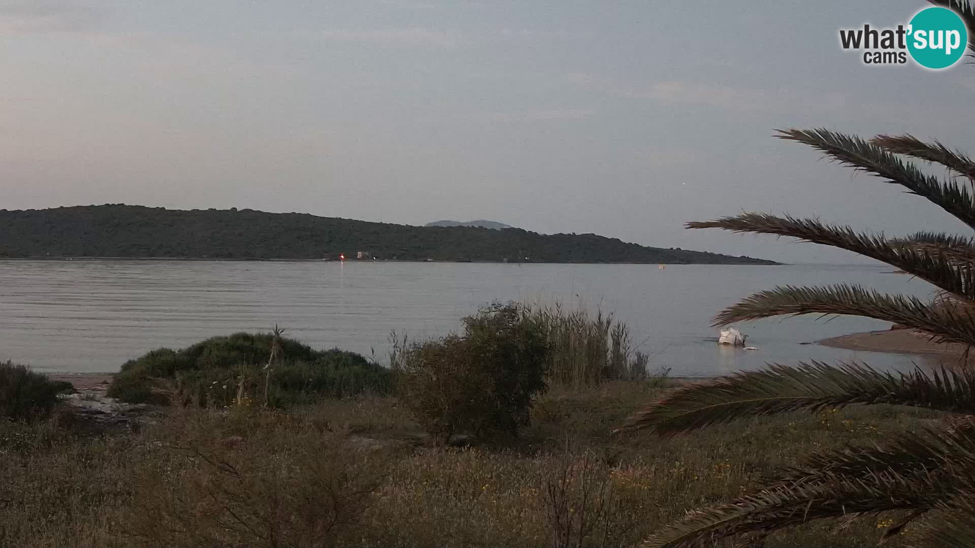 Webcam Olbia port – entrance to the port of Olbia