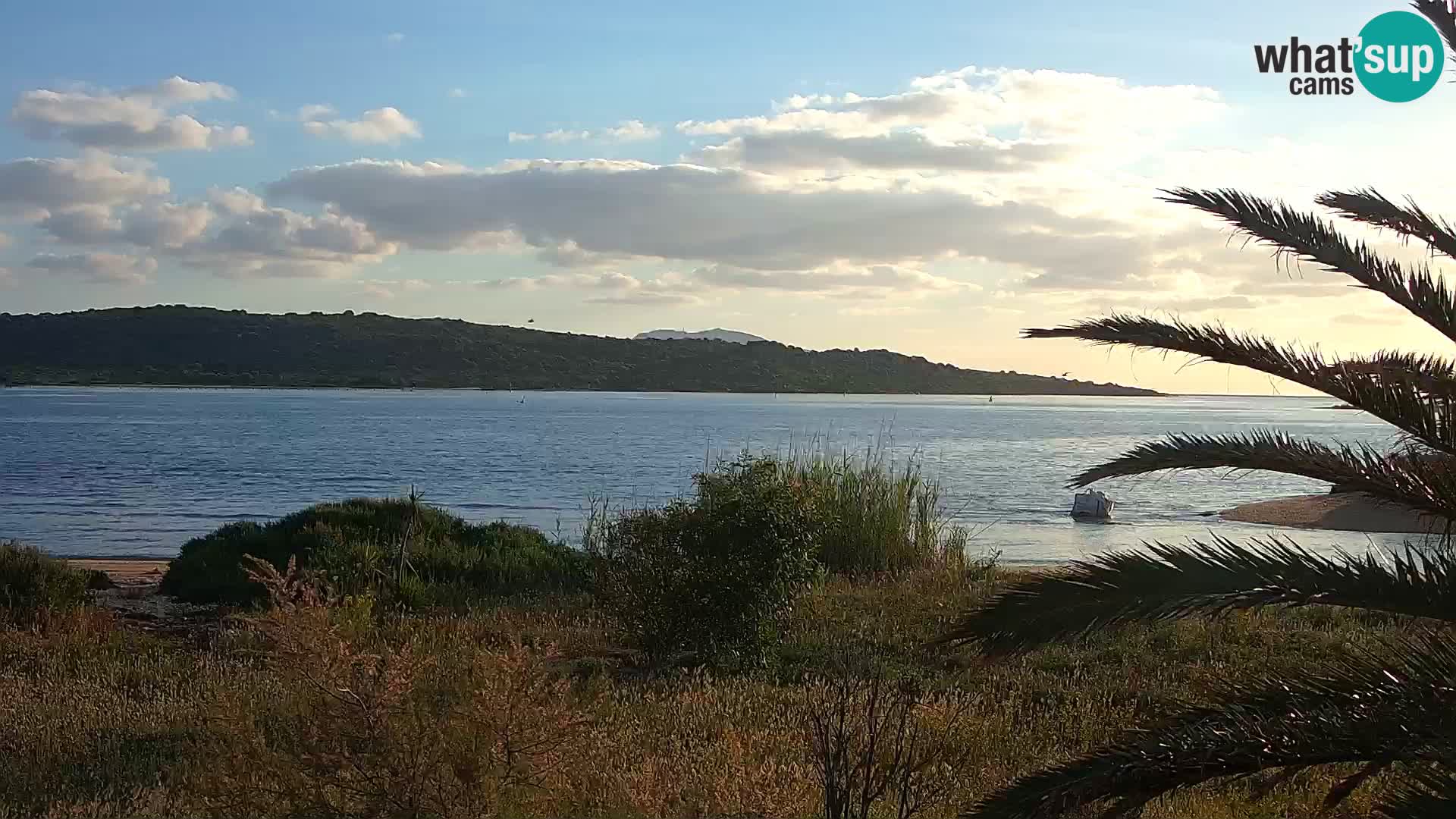 Web kamera Olbia luka – ulaz u luku Olbia