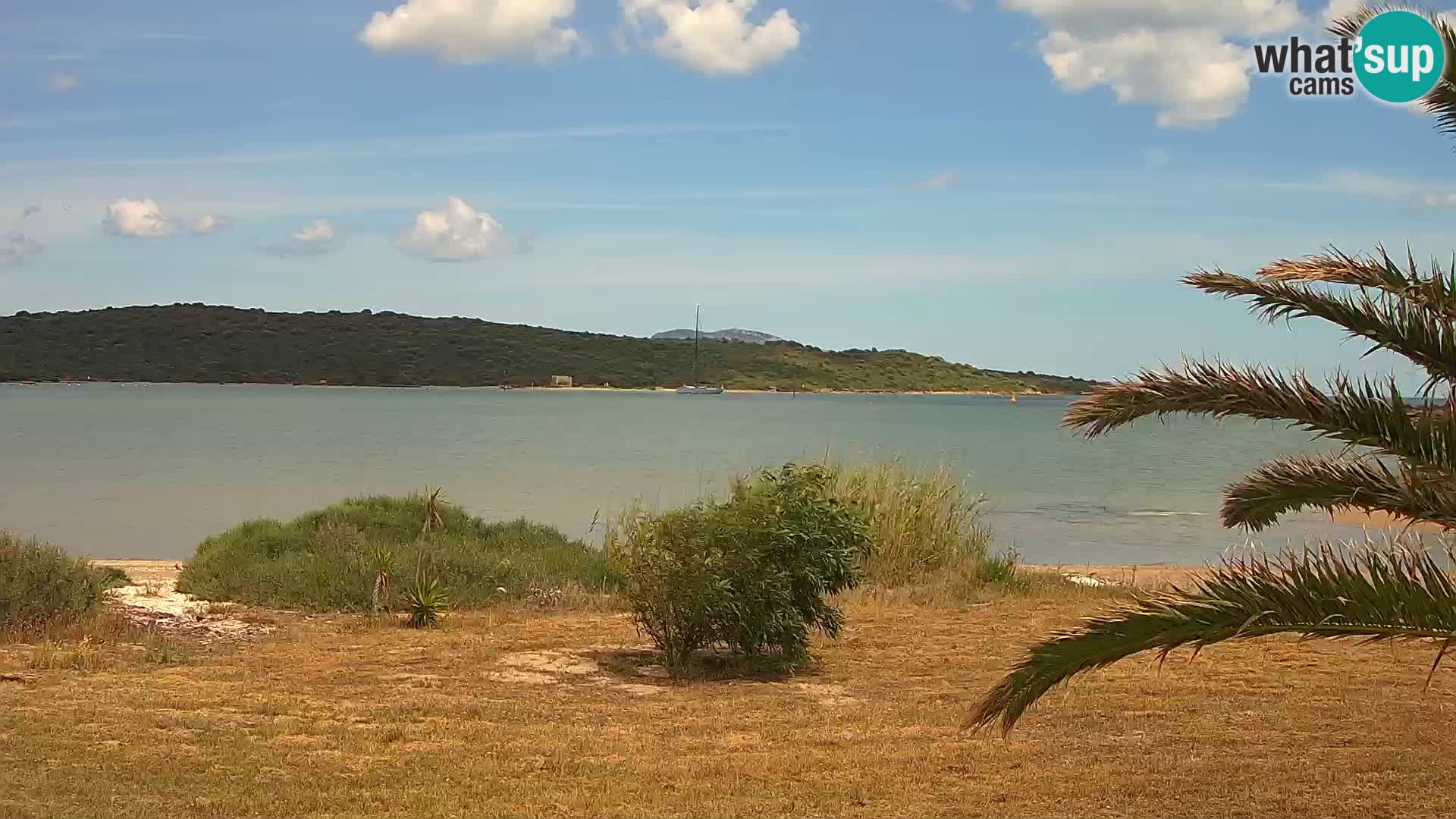 Spletna kamera pristanišče Olbia – vhod v pristanišče Olbia