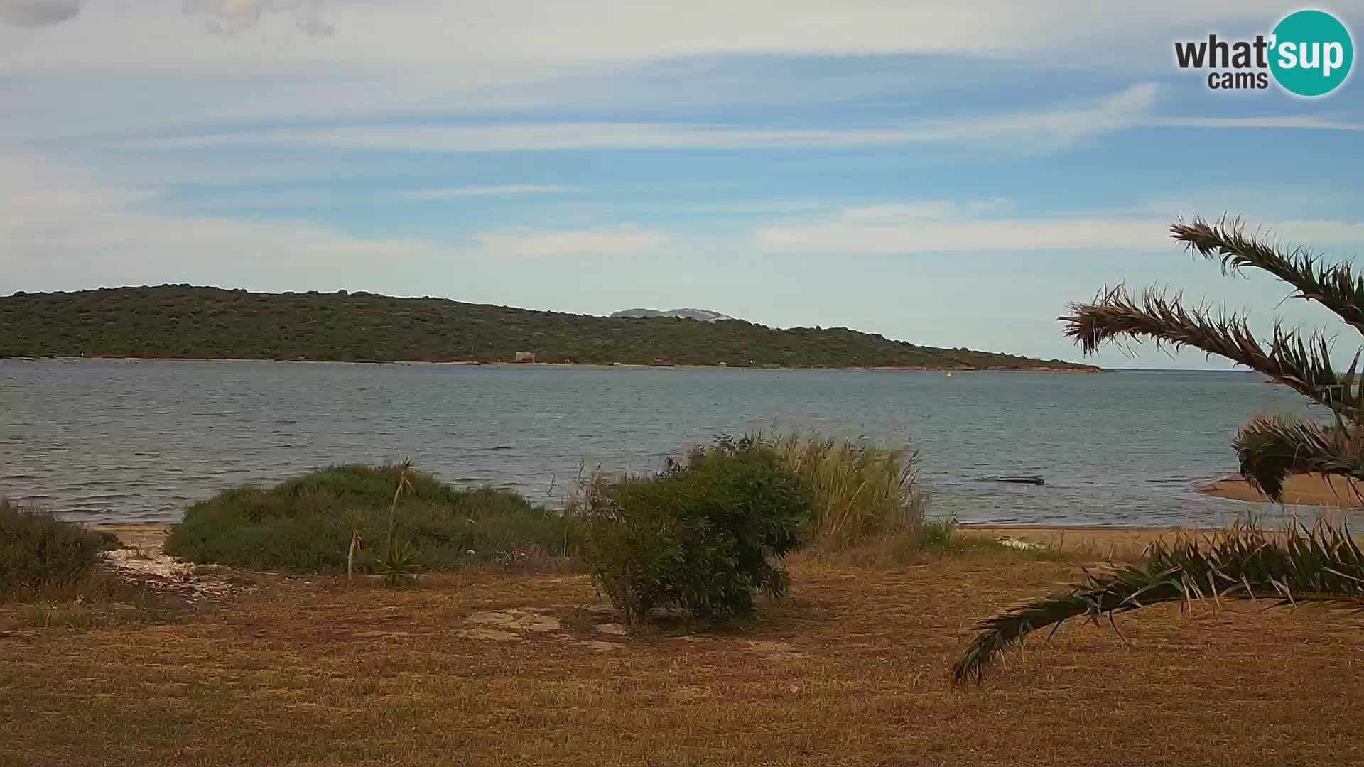 Camera web puerto de Olbia – entrada al puerto de Olbia
