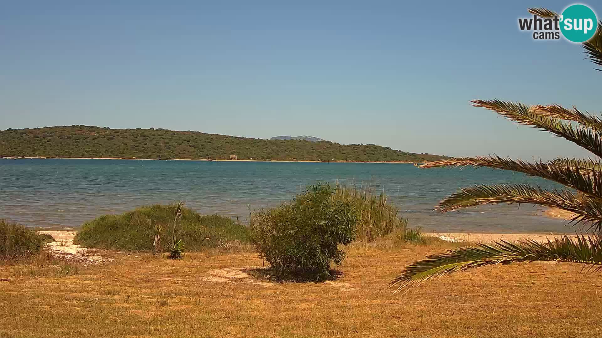 Webcam porto di Olbia – entrata nel porto di Olbia