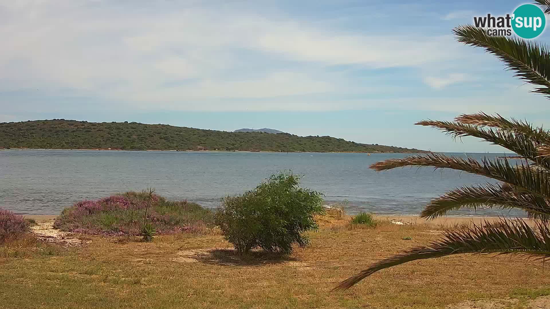 Web kamera Olbia luka – ulaz u luku Olbia