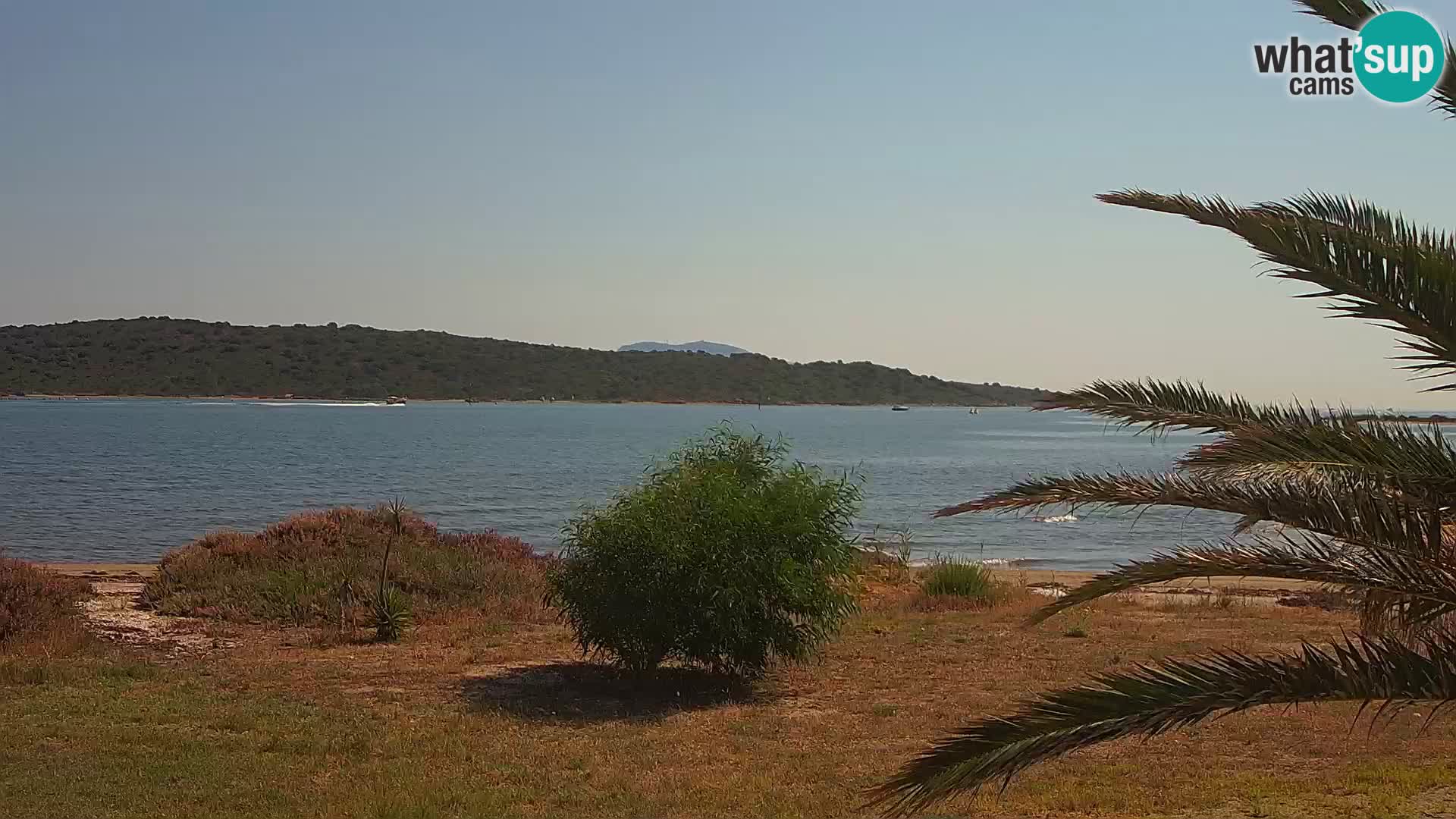 Webcam porto di Olbia – entrata nel porto di Olbia