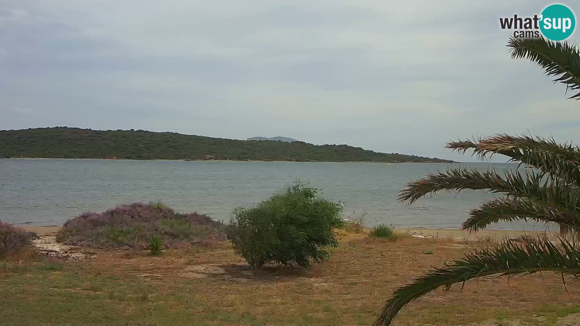 Webcam porto di Olbia – entrata nel porto di Olbia