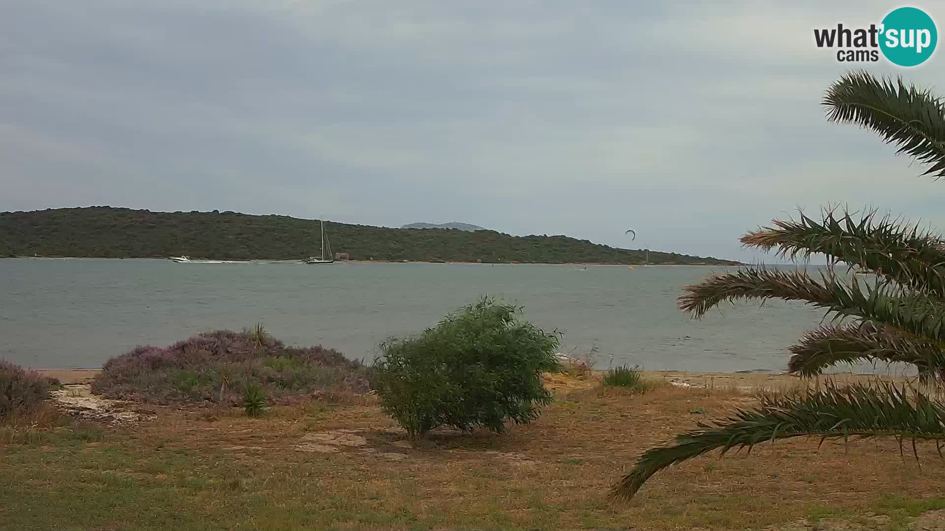 Webcam porto di Olbia – entrata nel porto di Olbia