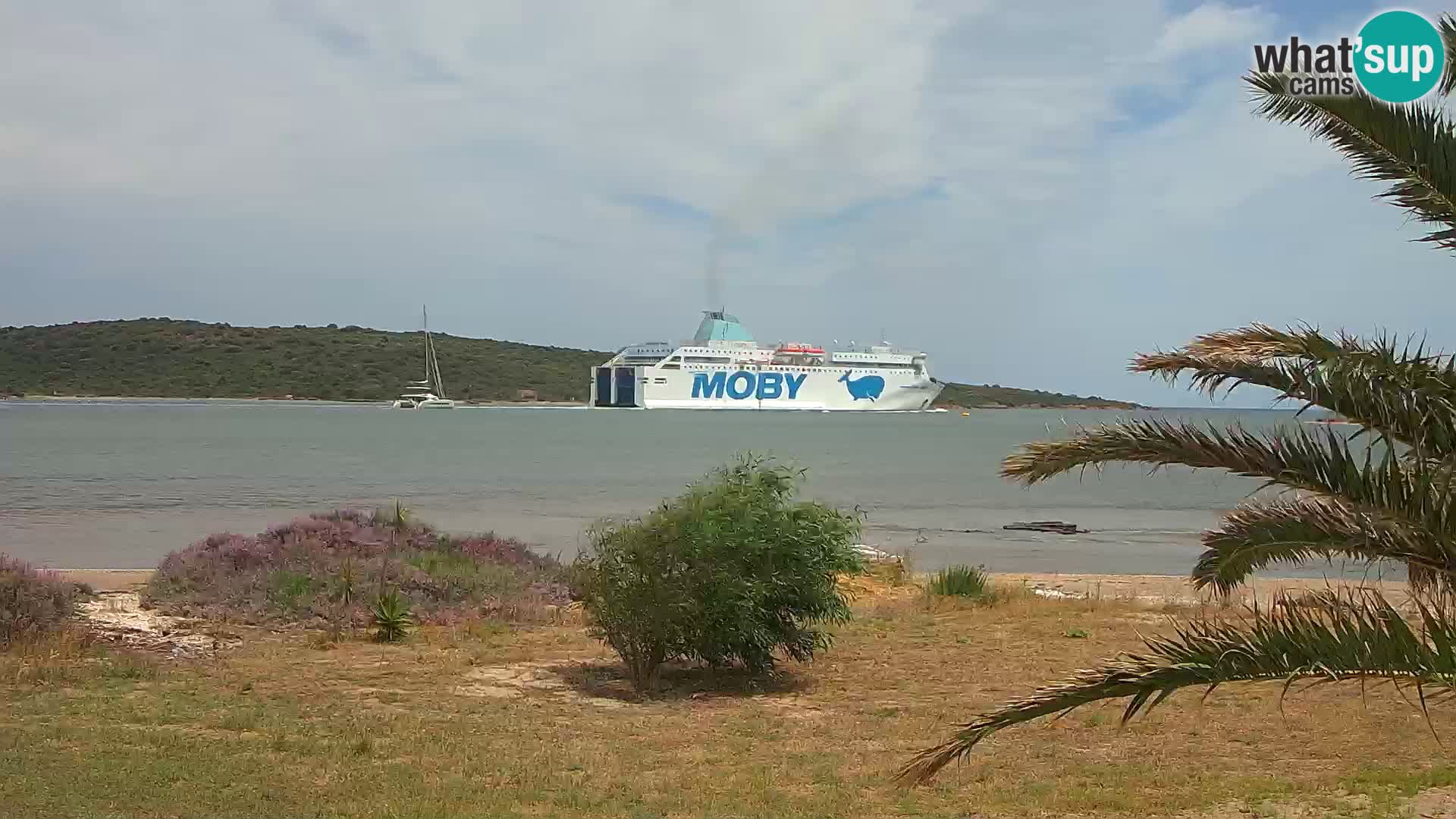 Webcam Hafen Olbia – Eingang zum Hafen von Olbia