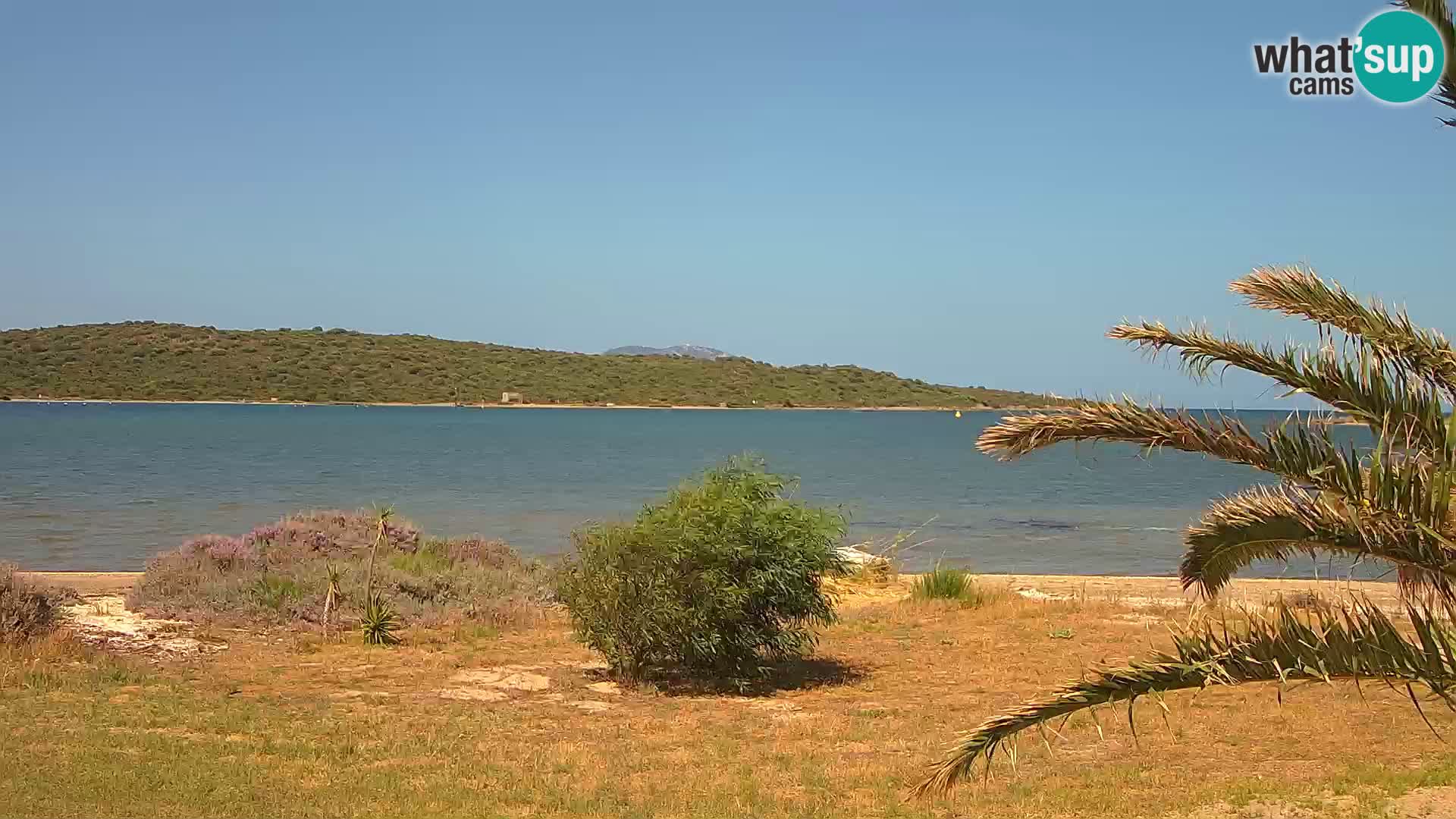 Webcam Hafen Olbia – Eingang zum Hafen von Olbia