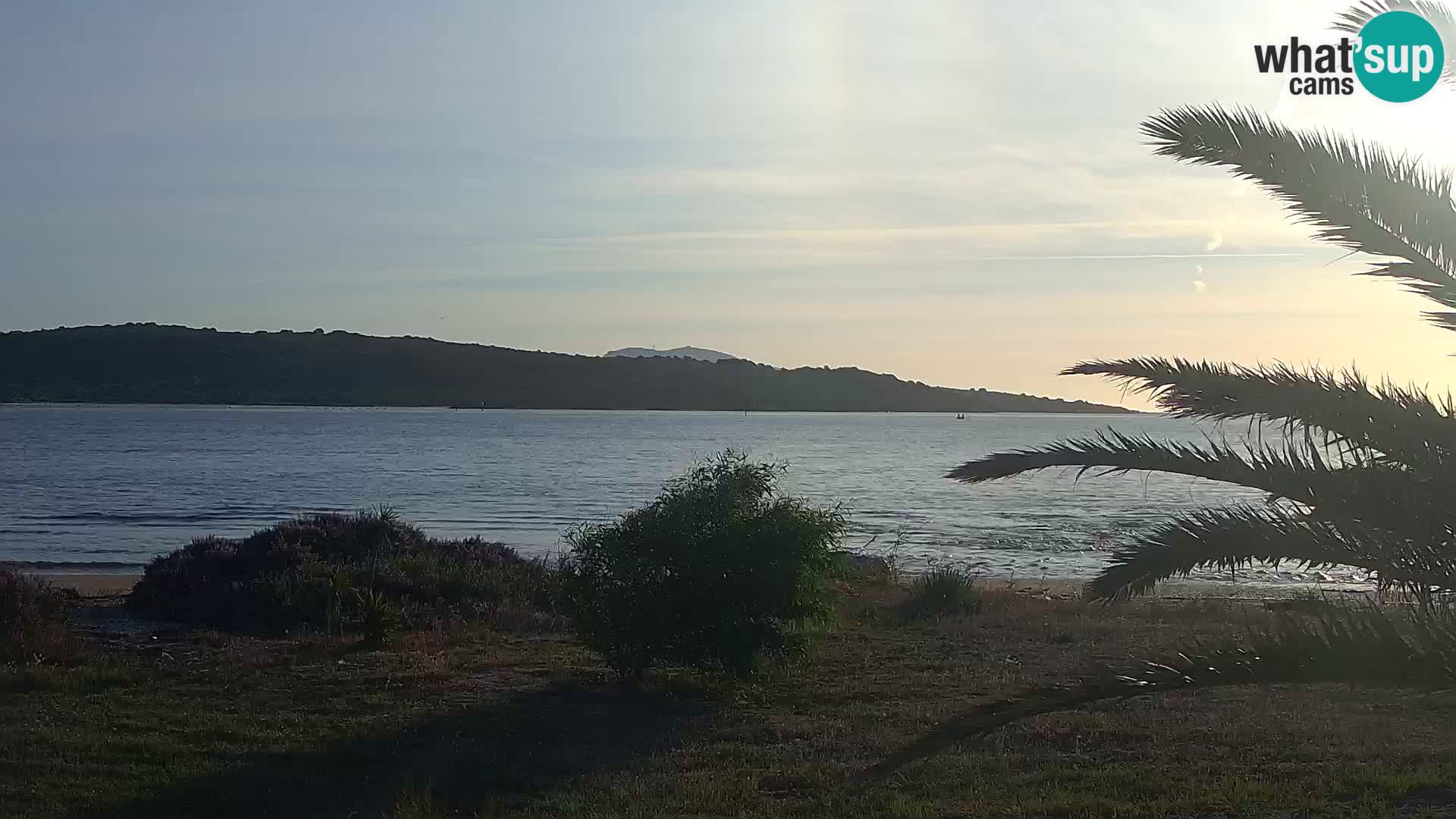 Webcam Hafen Olbia – Eingang zum Hafen von Olbia