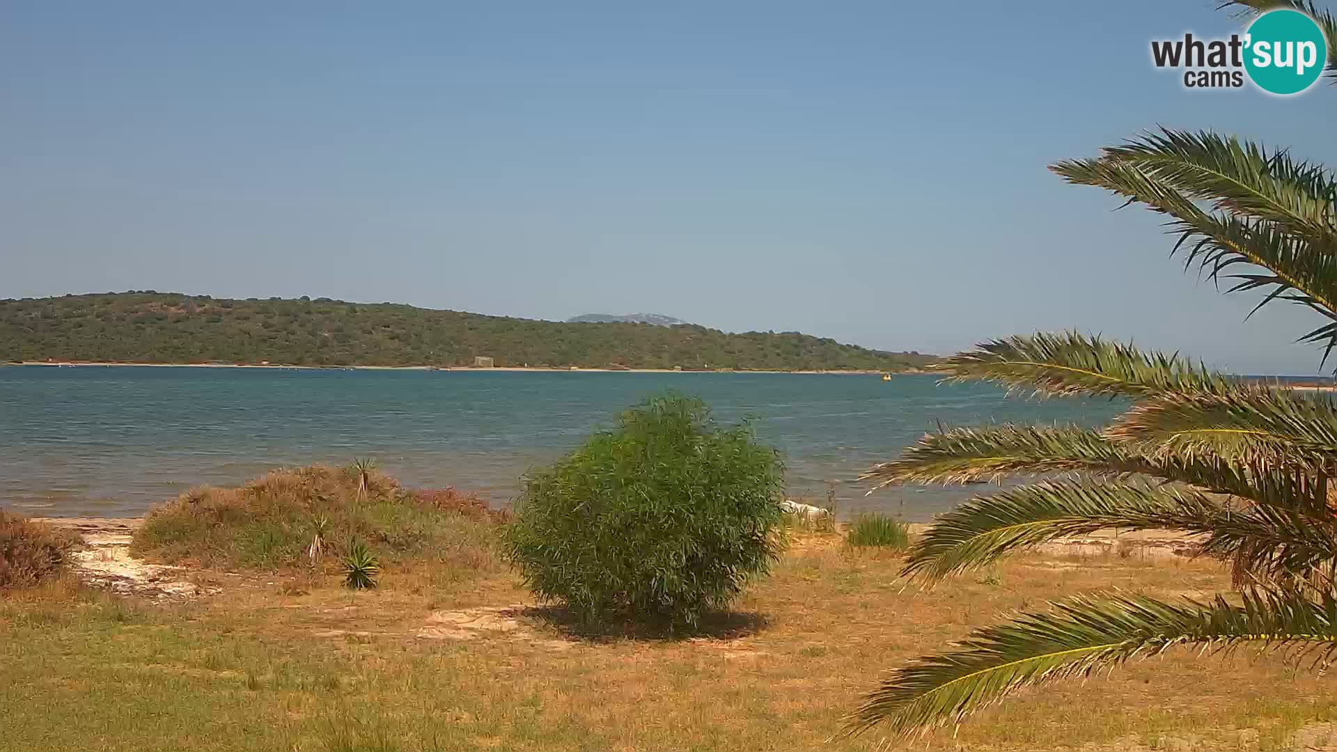 Webcam Olbia port – entrance to the port of Olbia