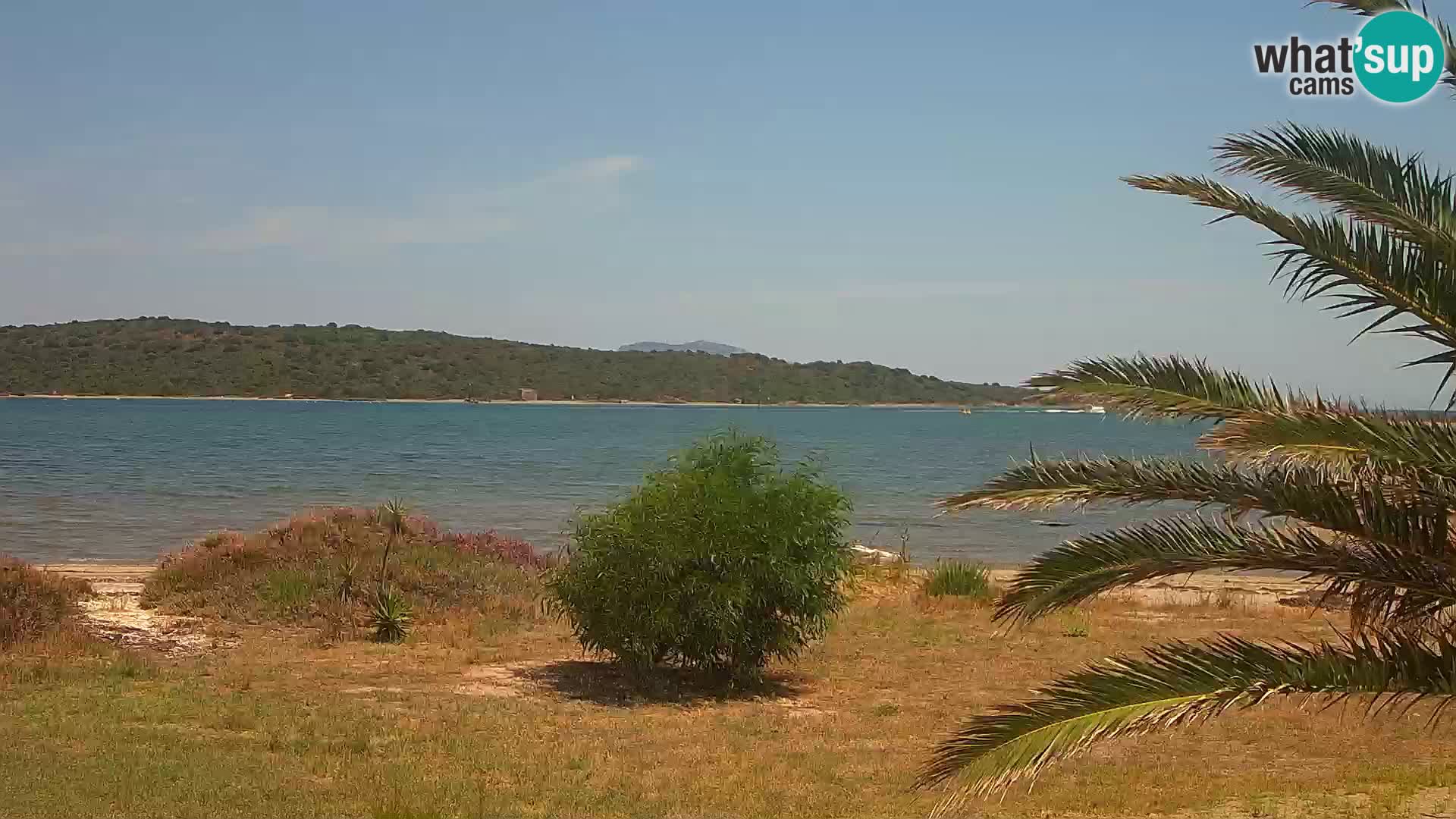 Camera web puerto de Olbia – entrada al puerto de Olbia