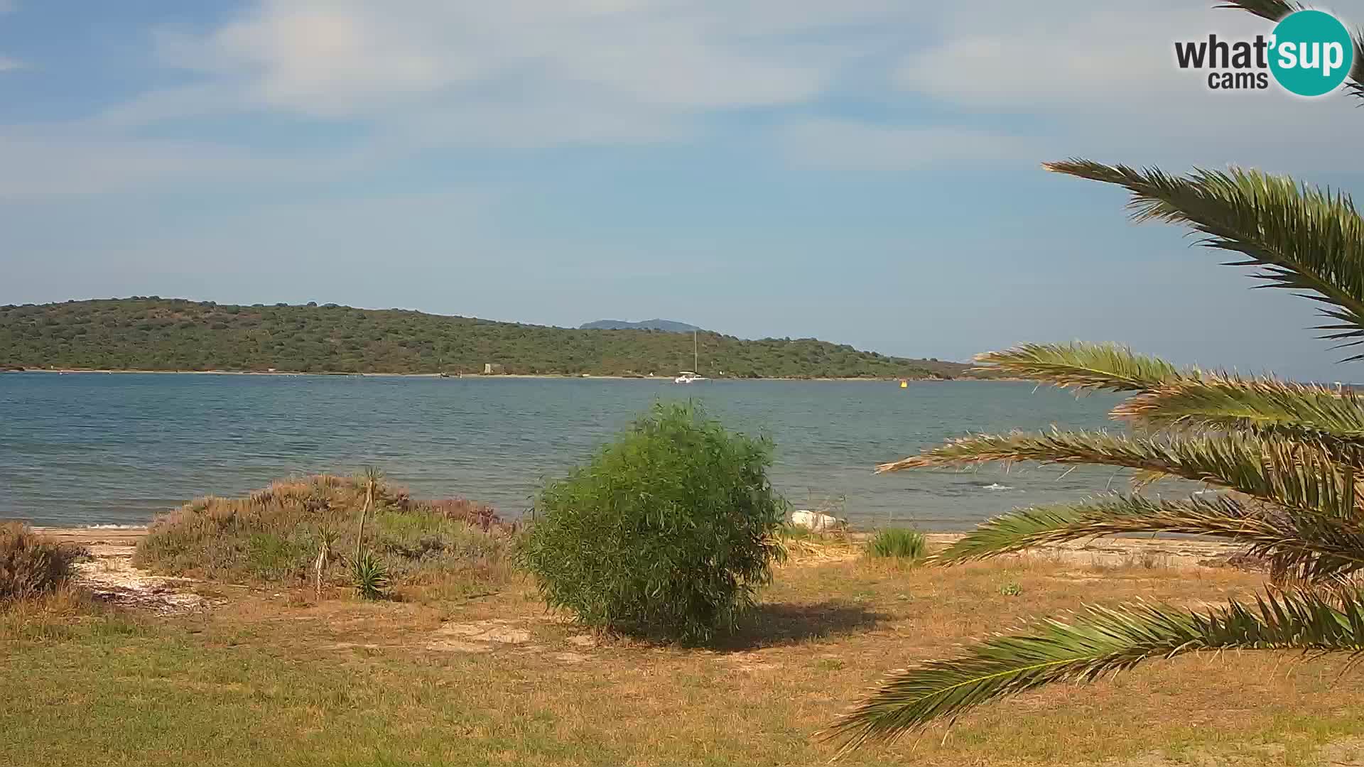 Webcam Olbia port – entrance to the port of Olbia