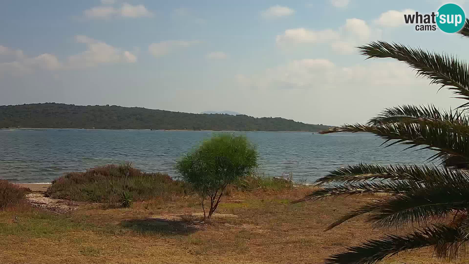 Webcam Olbia port – entrance to the port of Olbia