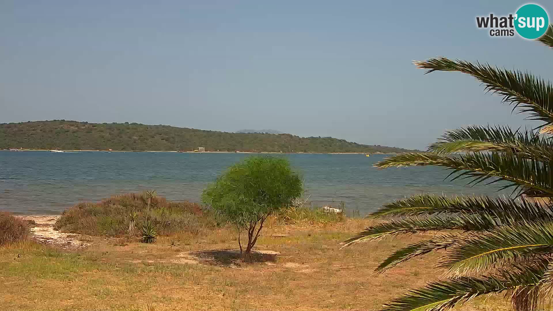 Webcam port d’Olbia – entrée du port d’Olbia