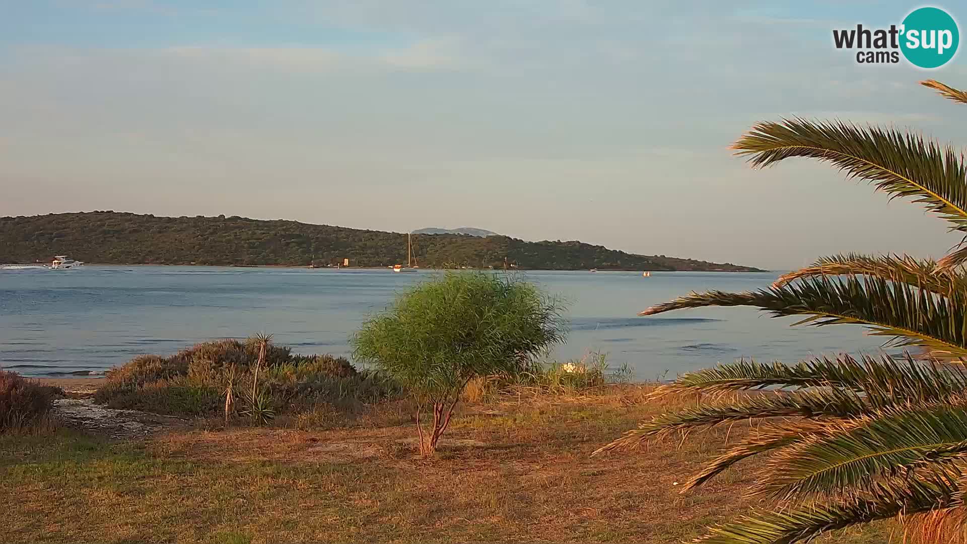 Webcam Olbia port – entrance to the port of Olbia