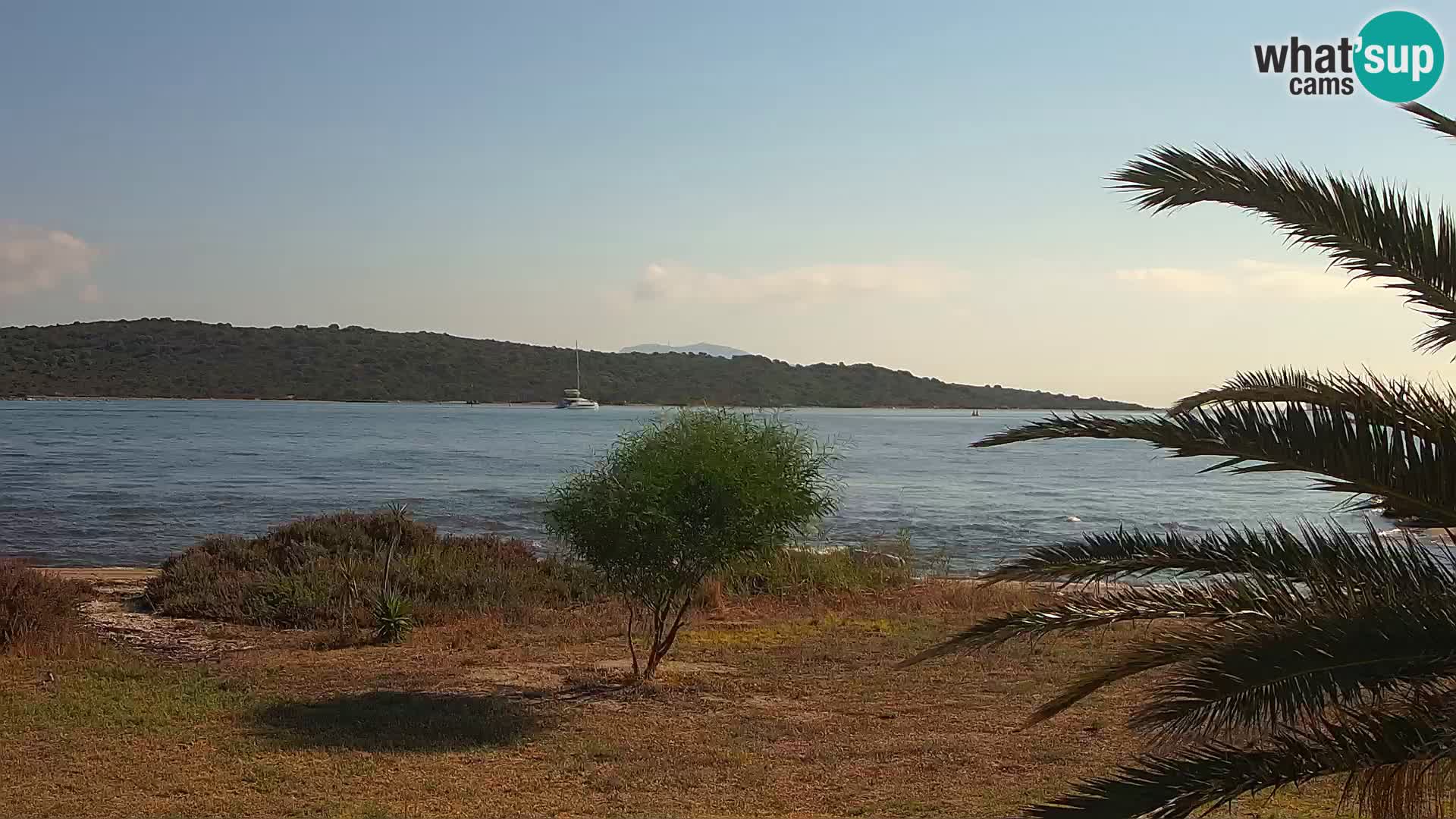 Web kamera Olbia luka – ulaz u luku Olbia