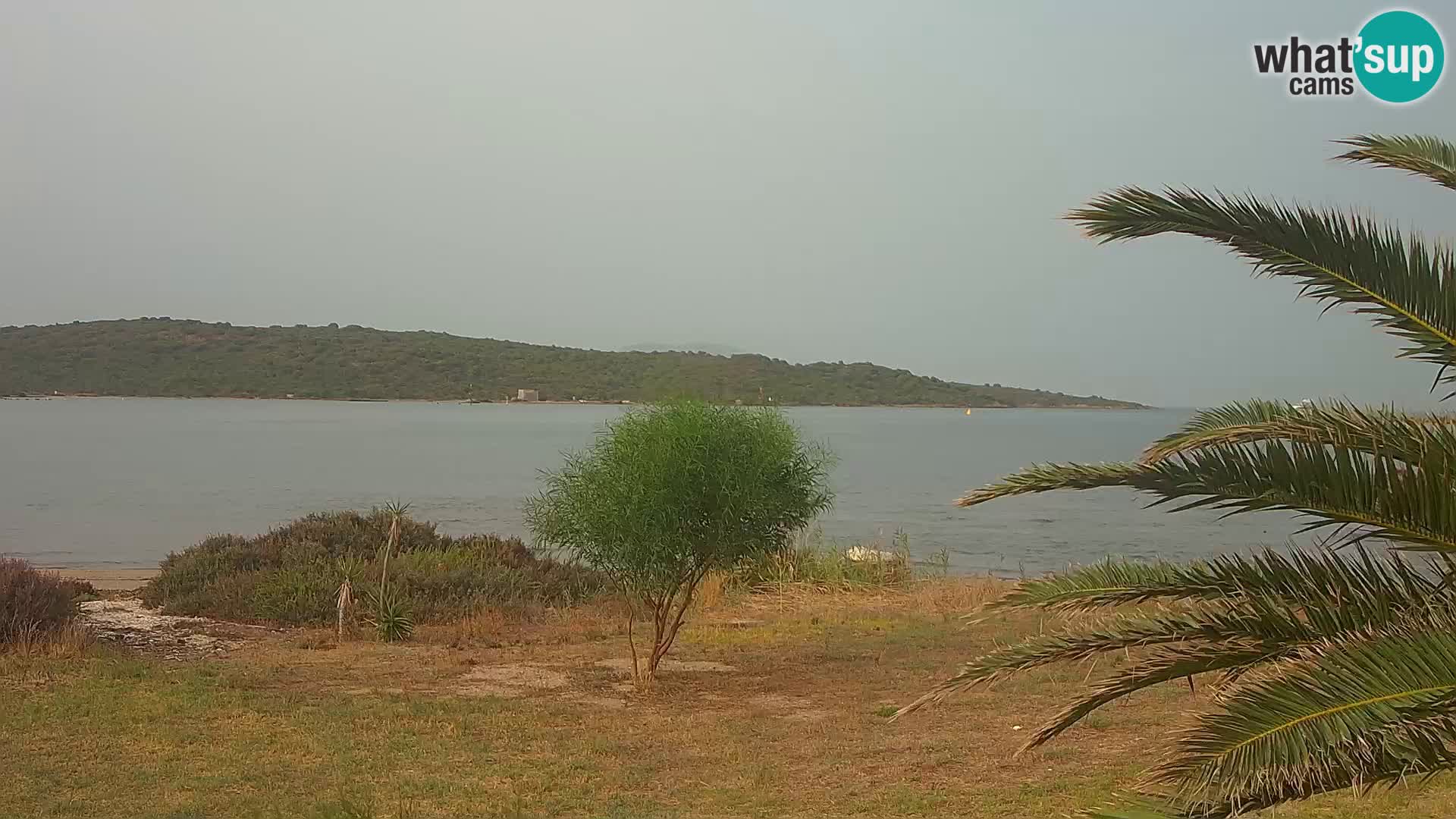 Webcam Hafen Olbia – Eingang zum Hafen von Olbia