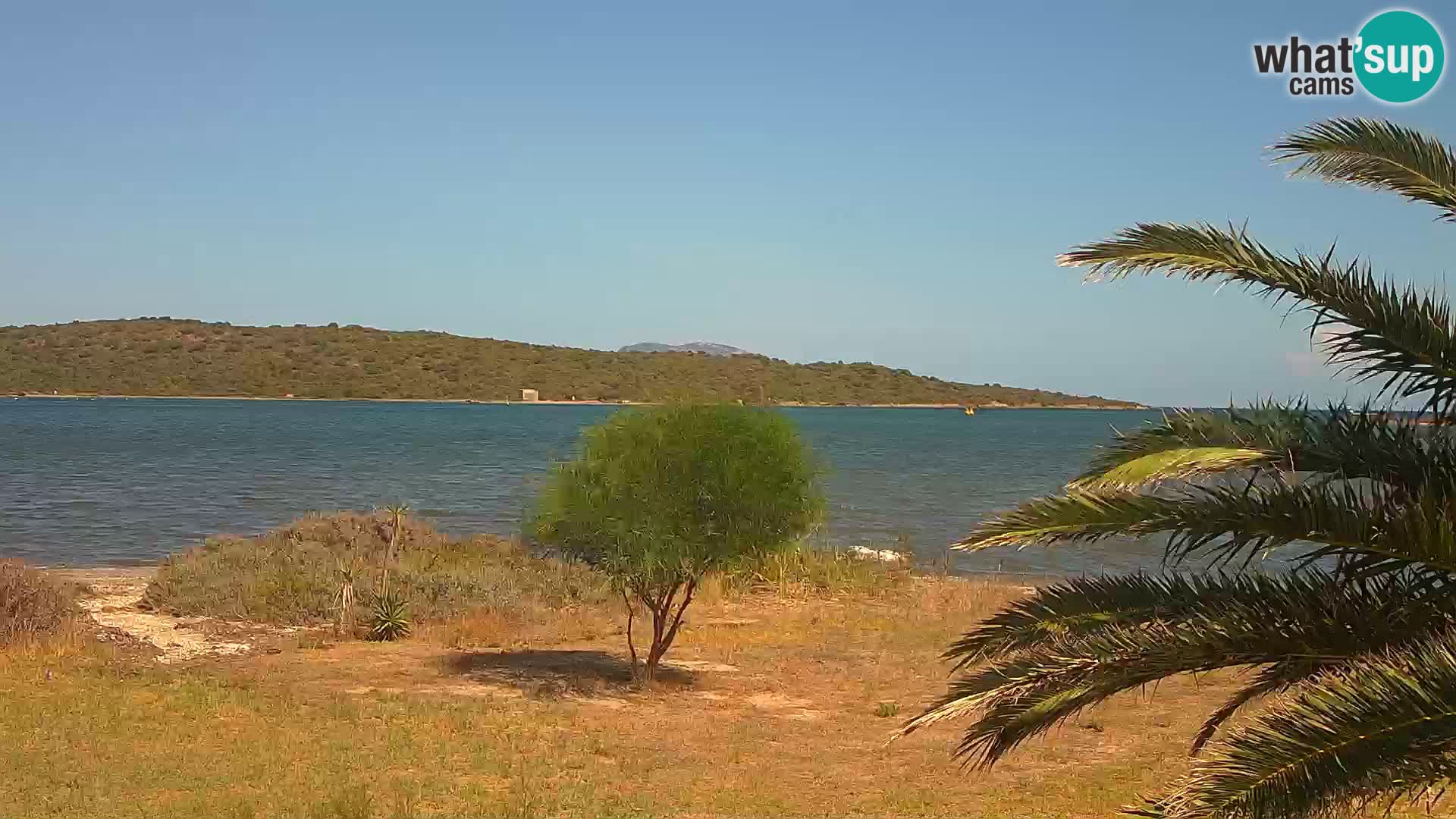 Webcam Hafen Olbia – Eingang zum Hafen von Olbia