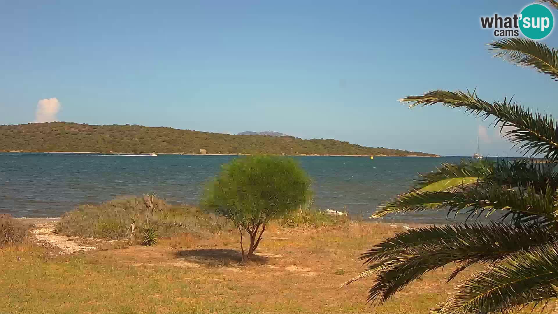 Webcam porto di Olbia – entrata nel porto di Olbia