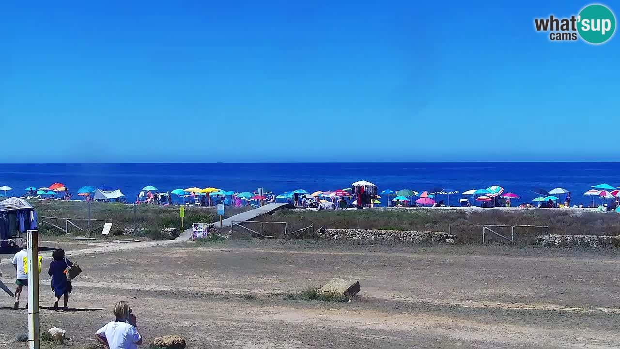 Is Arutas webcam beach | Oristano – Sardinia