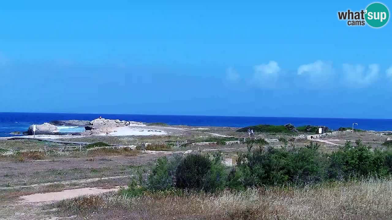 Webcam Is Arutas spiaggia | Oristano – Sardegna